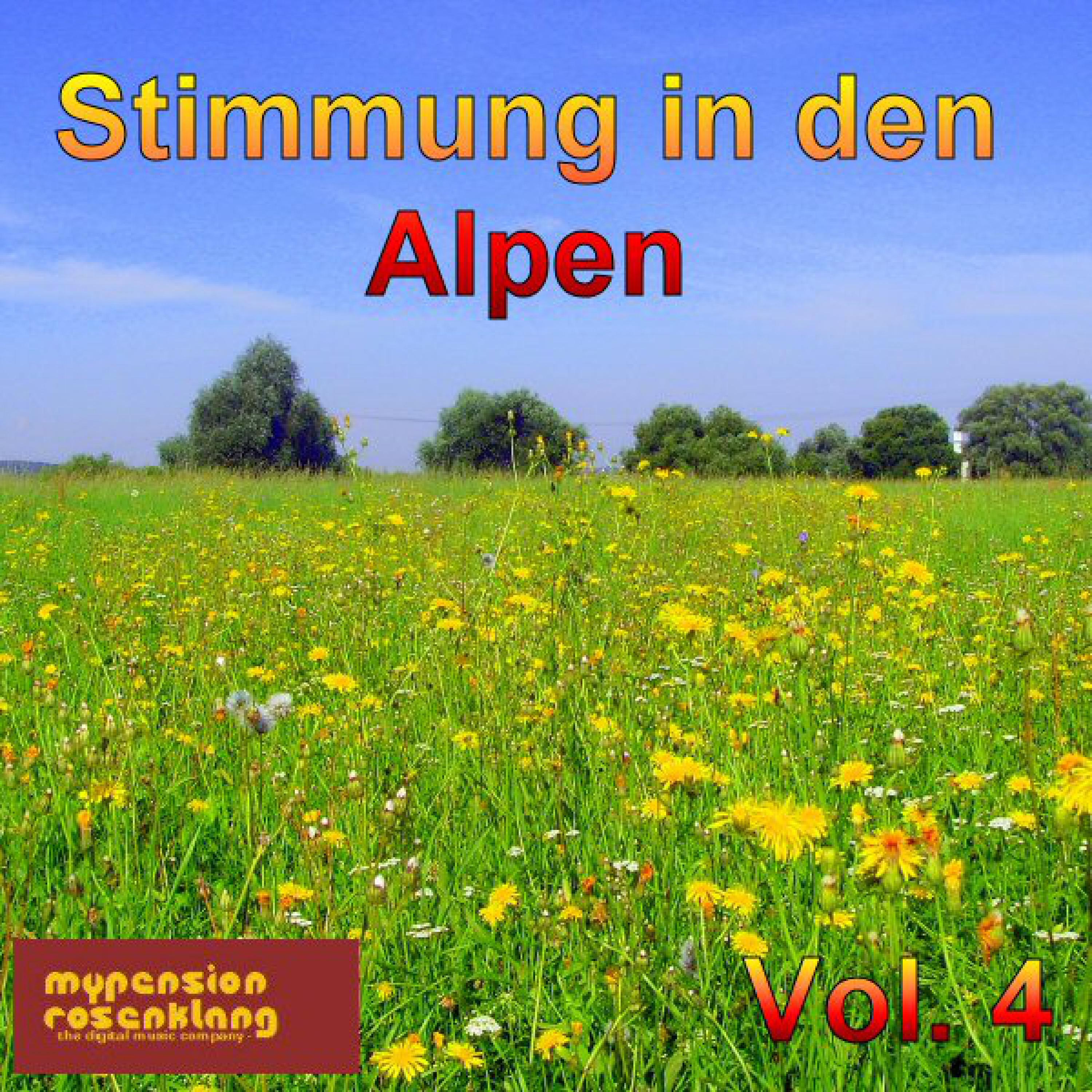 Party in the Alps - Stimmung in Den Alpen Vol. 4