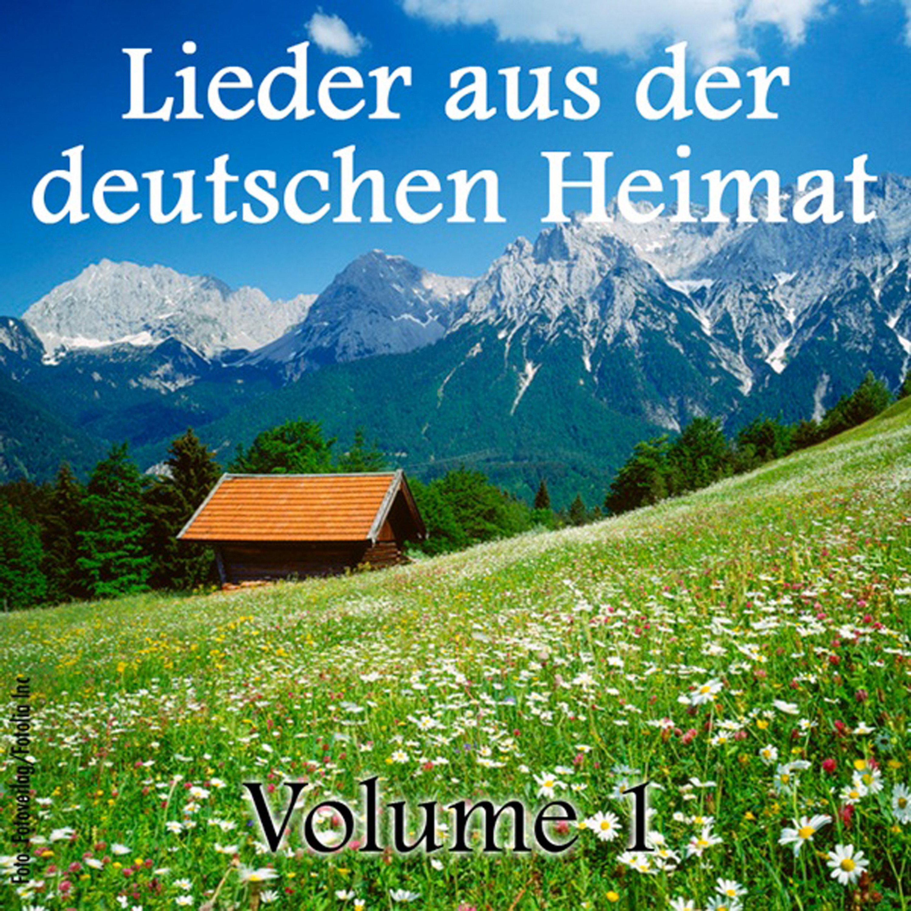 Lieder aus der Deutschen Heimat, Vol. 1