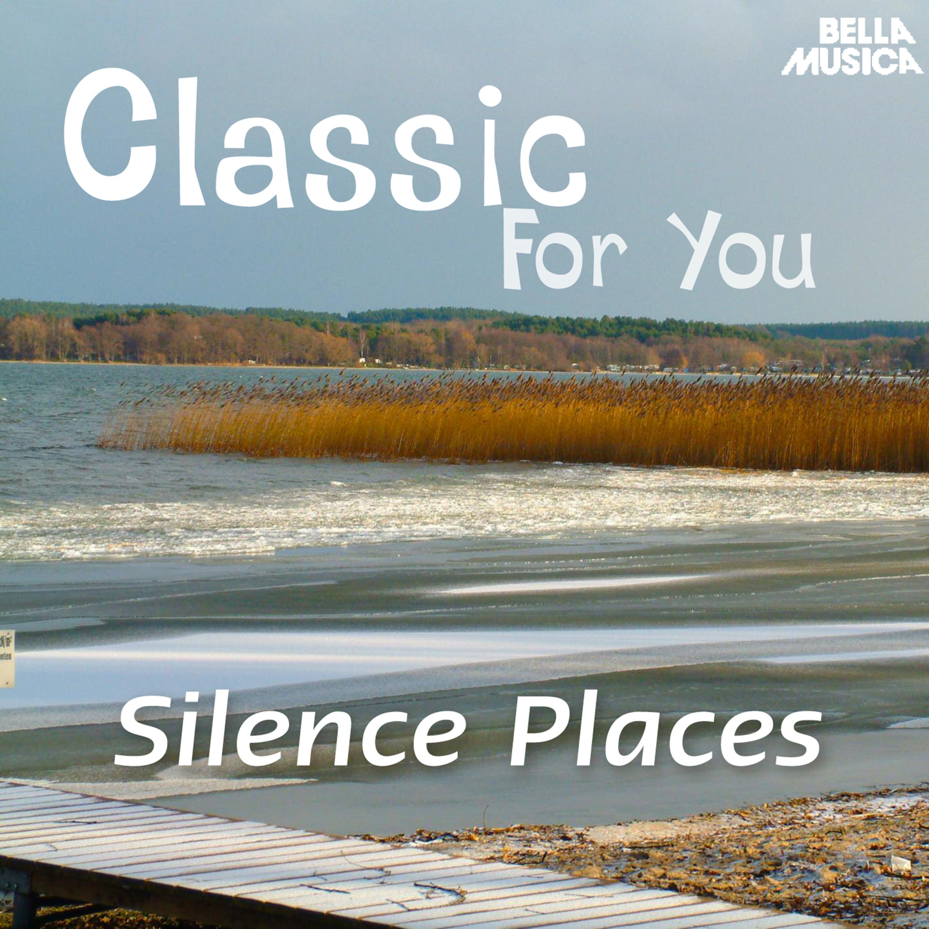 Classic for You: Silence Places