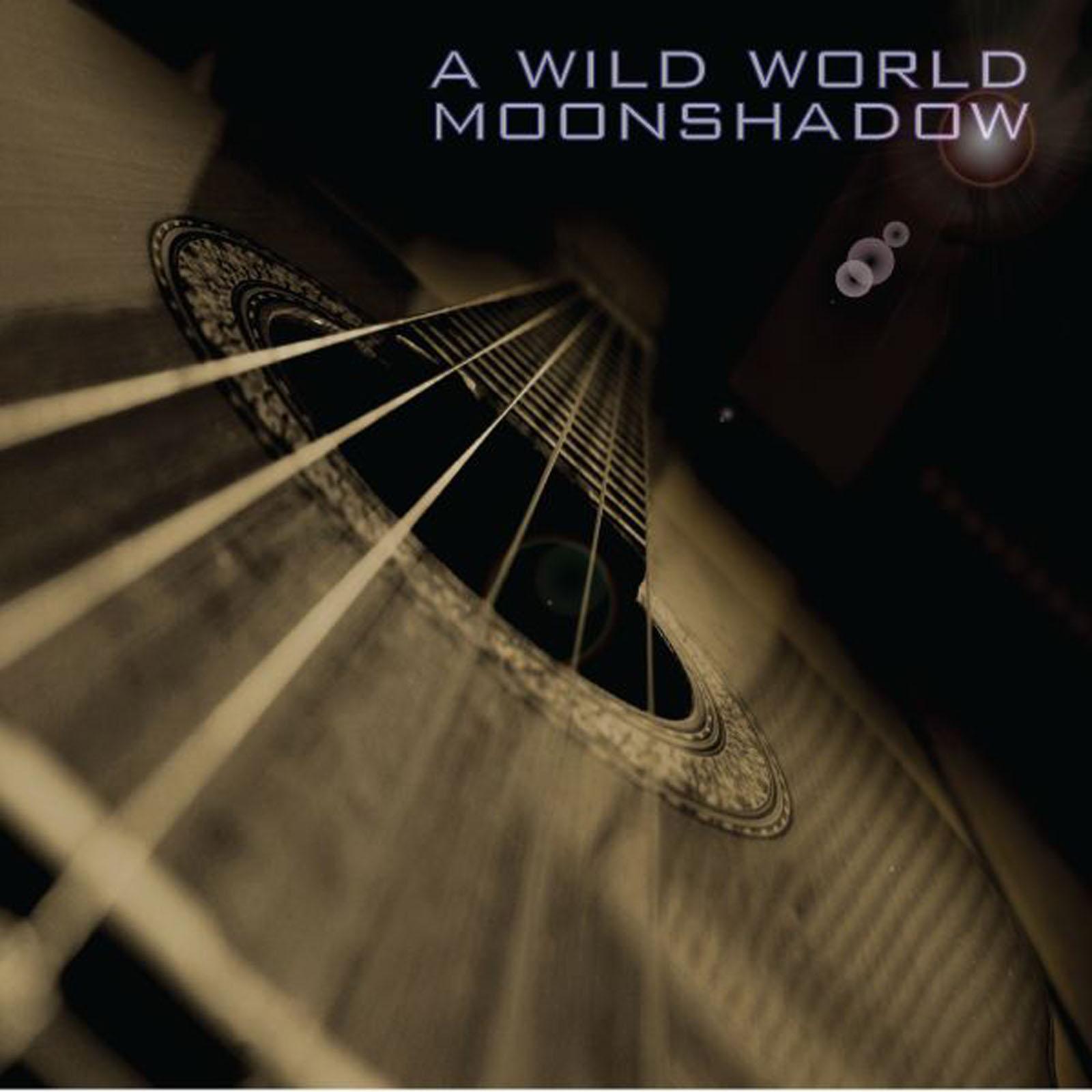 A Wild World-The Ultimate Cat Stevens Tribute