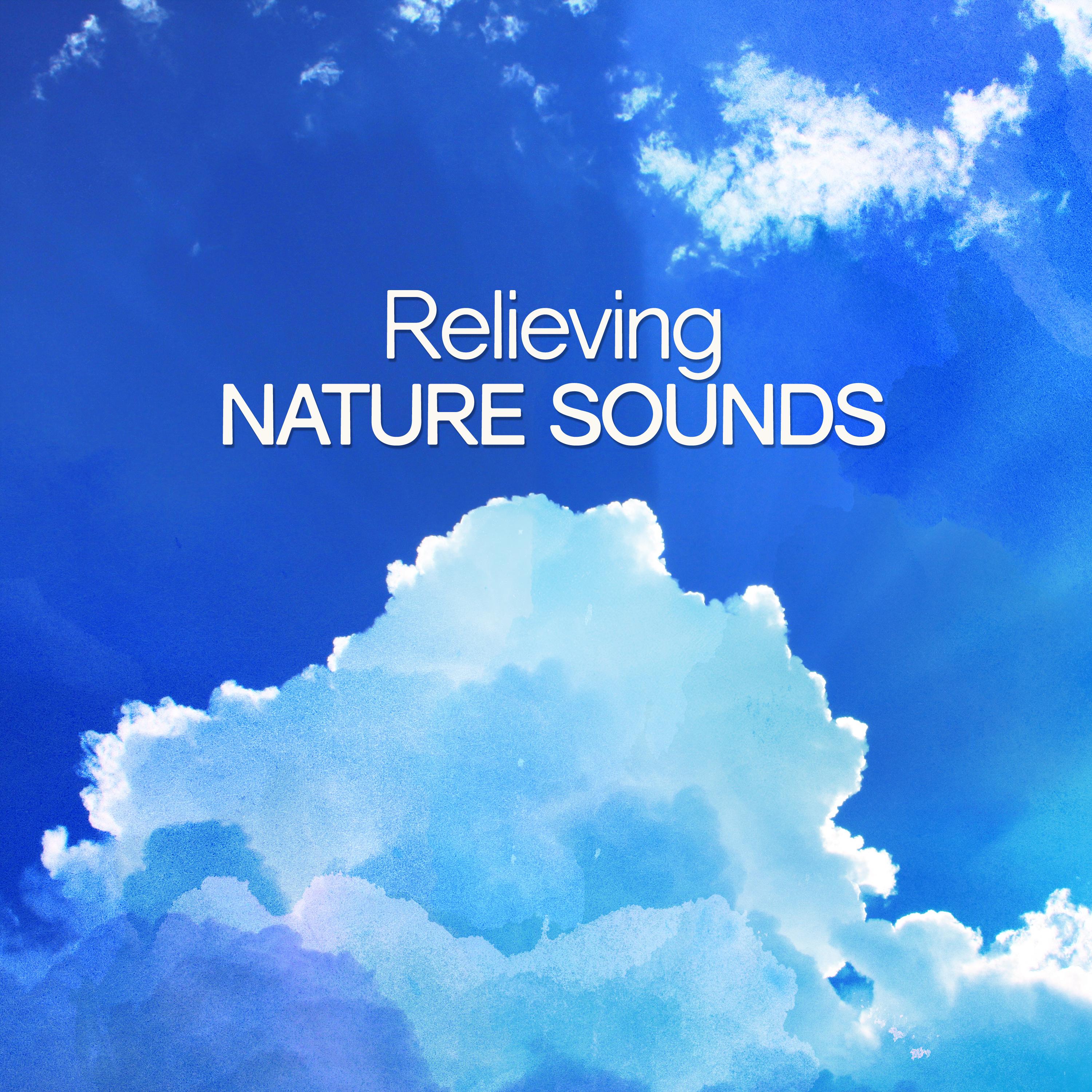 Relieving Nature Sounds