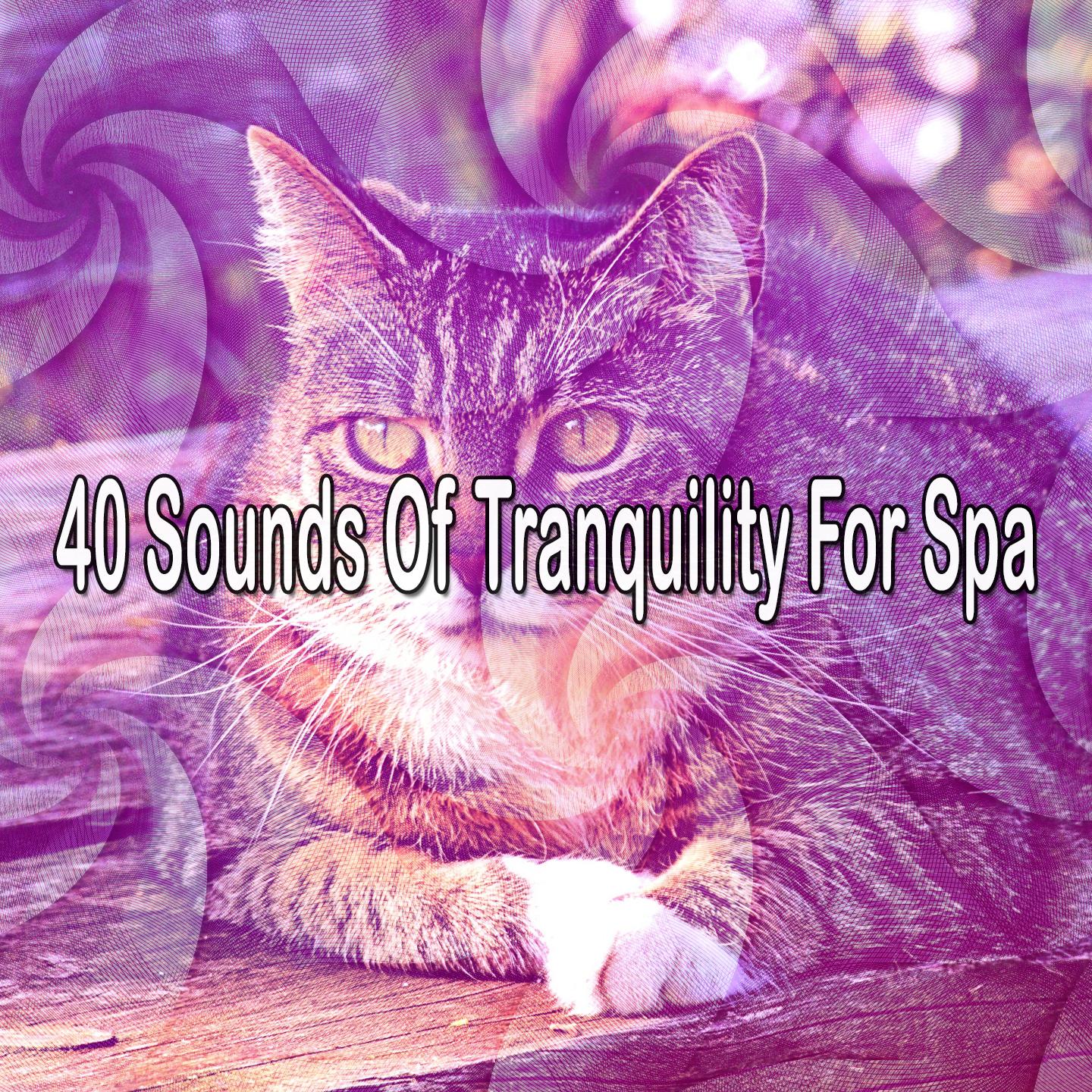 40 Sounds Of Tranquility For Spa