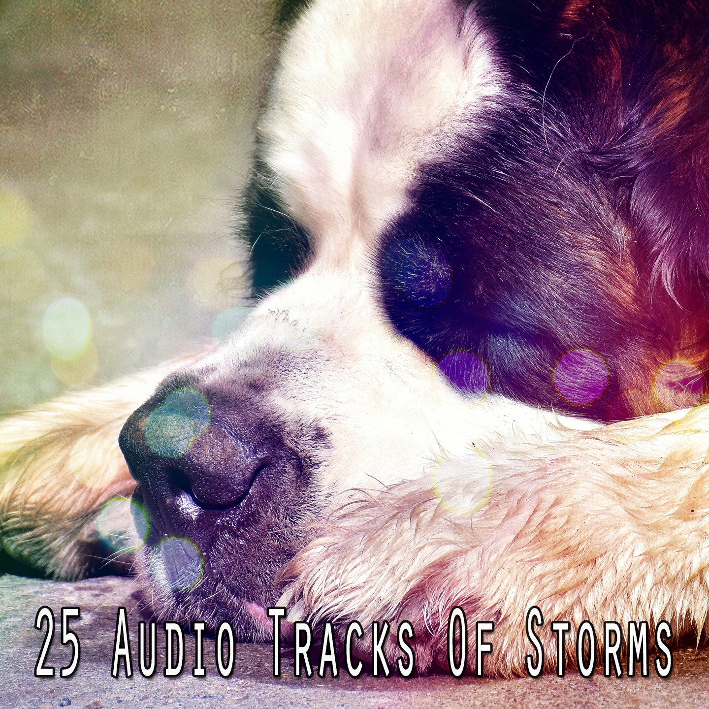 25 Audio Tracks Of Storms