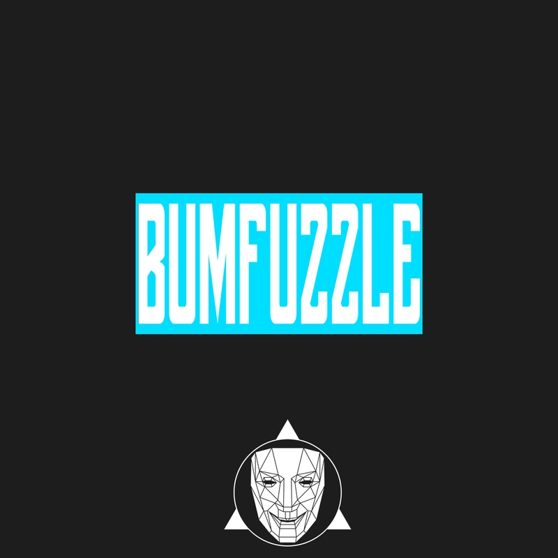 Bumfuzzle 2017