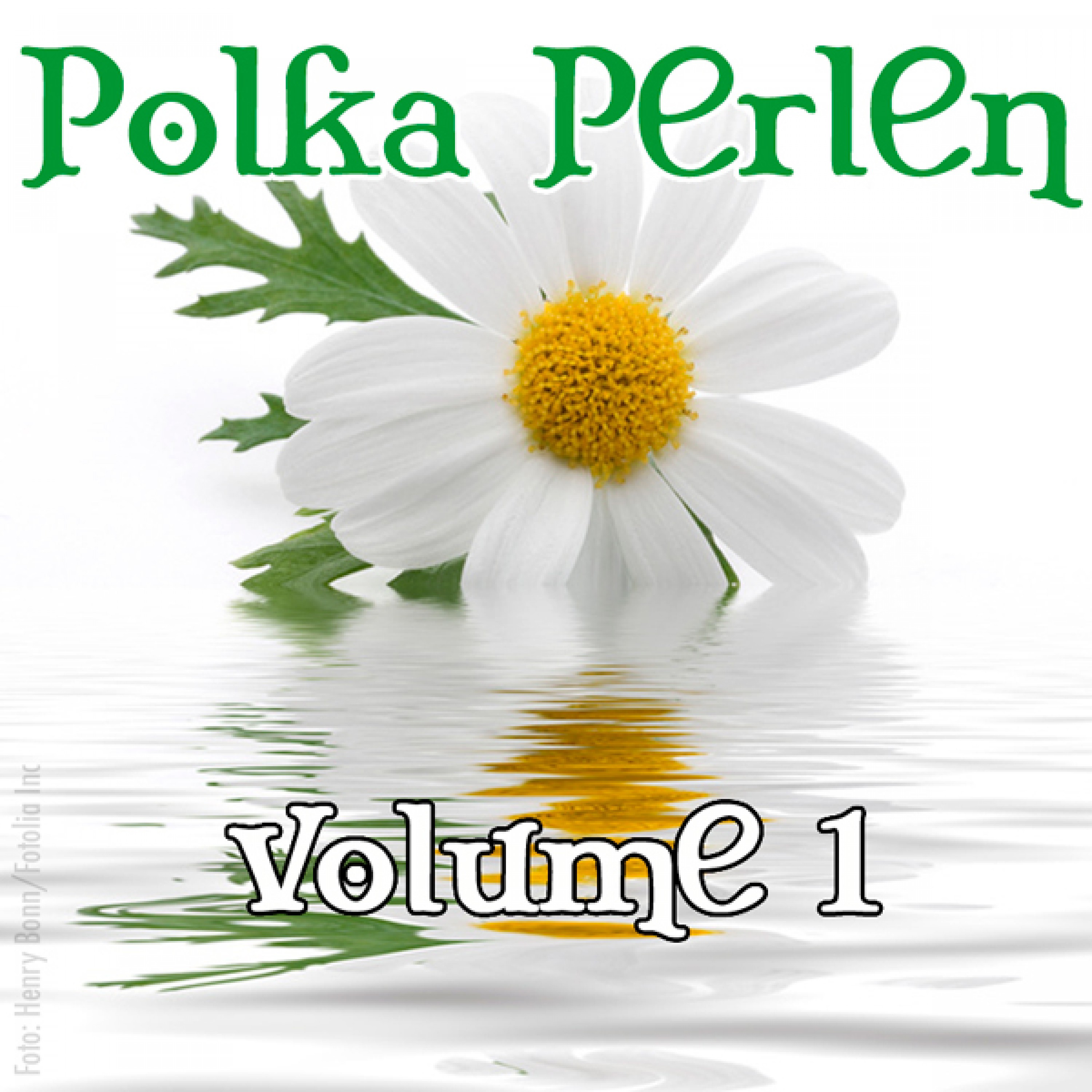 Polka-Perlen