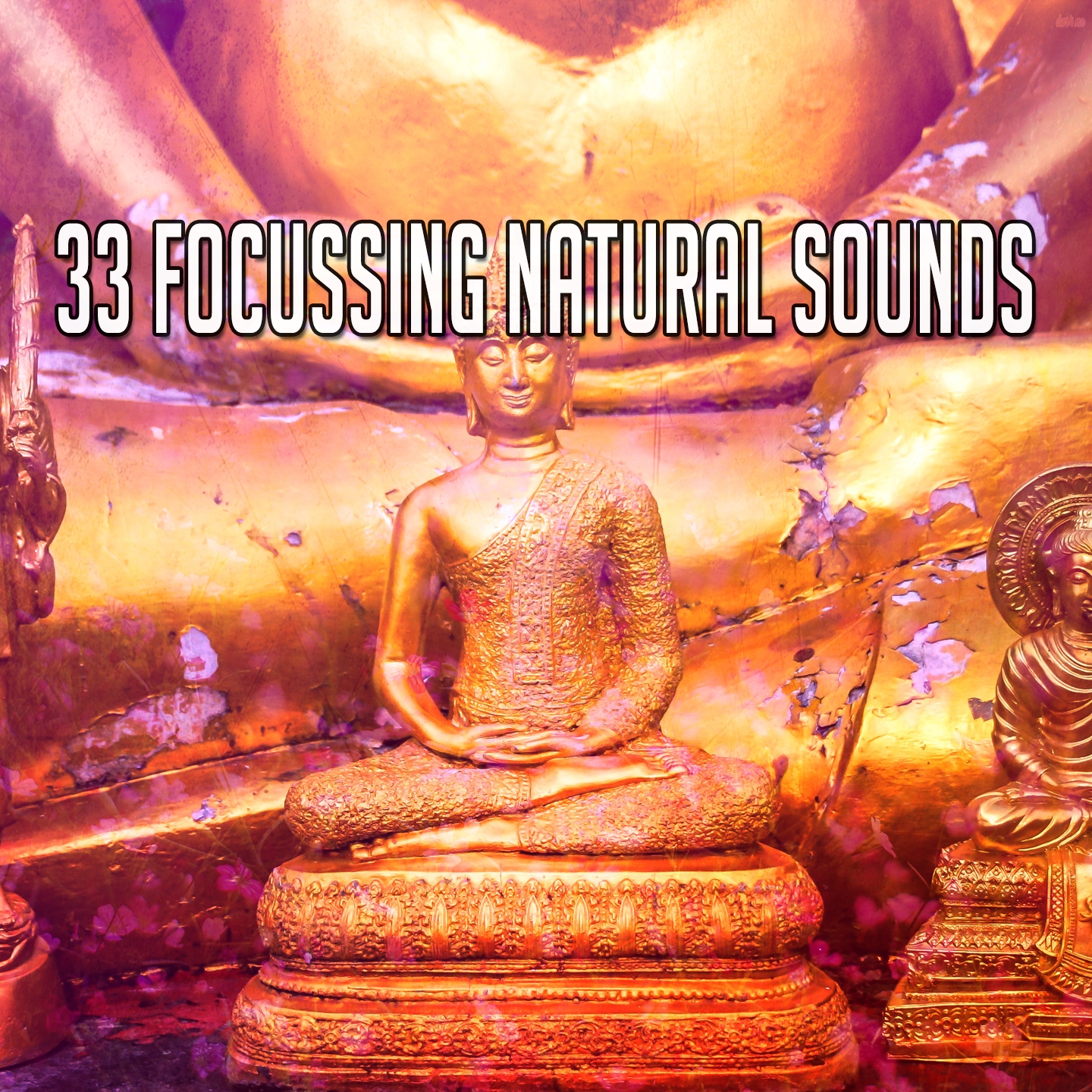 33 Focussing Natural Sounds