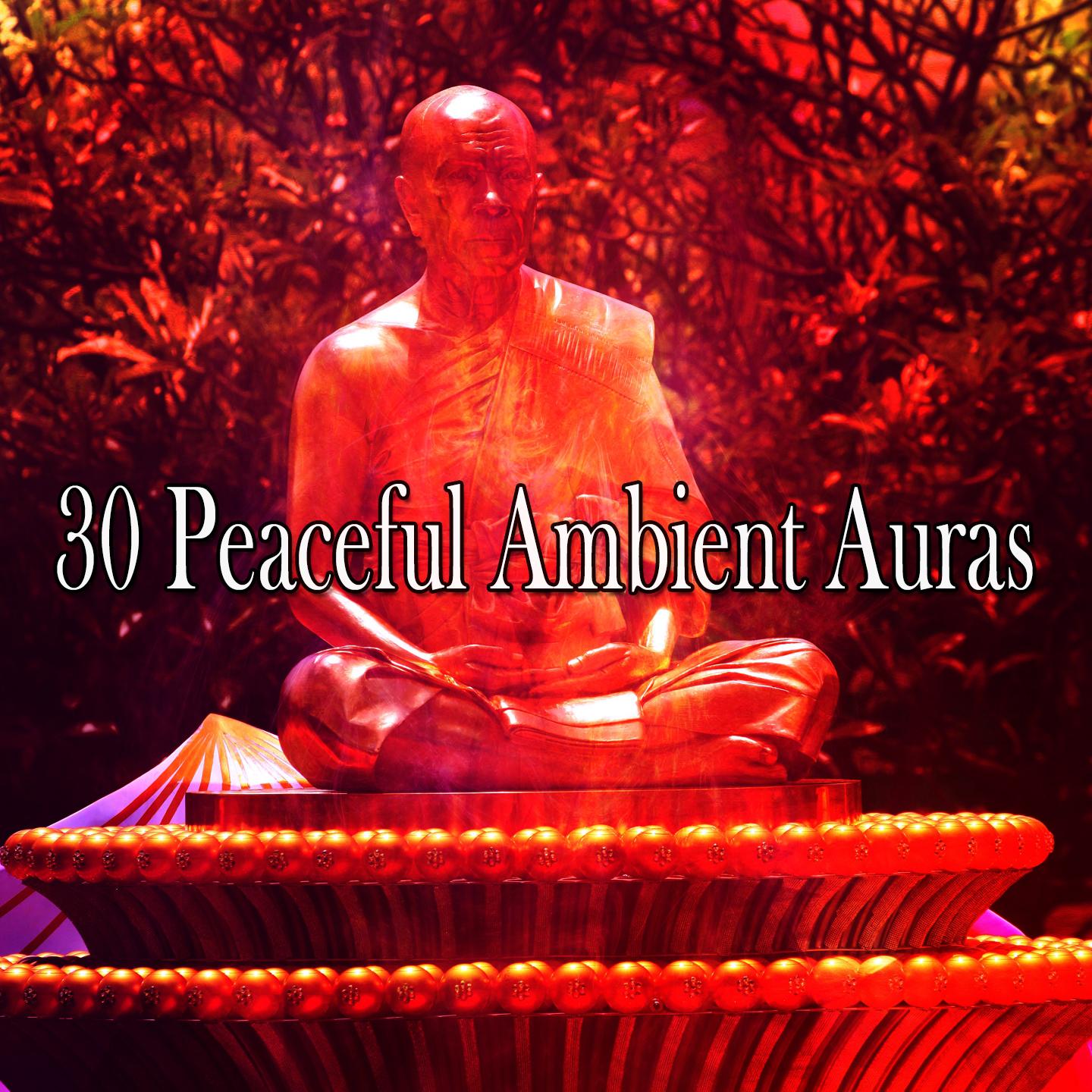 30 Peaceful Ambient Auras