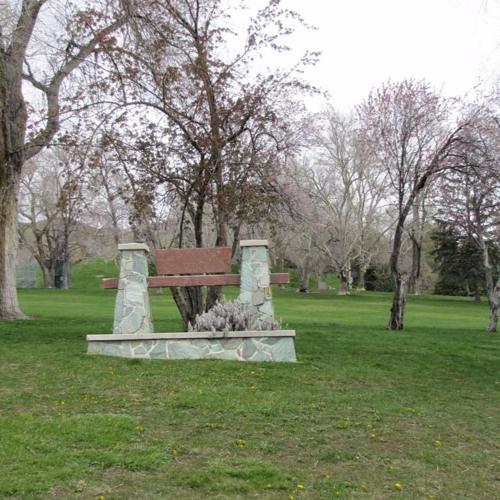 Grass In The Park