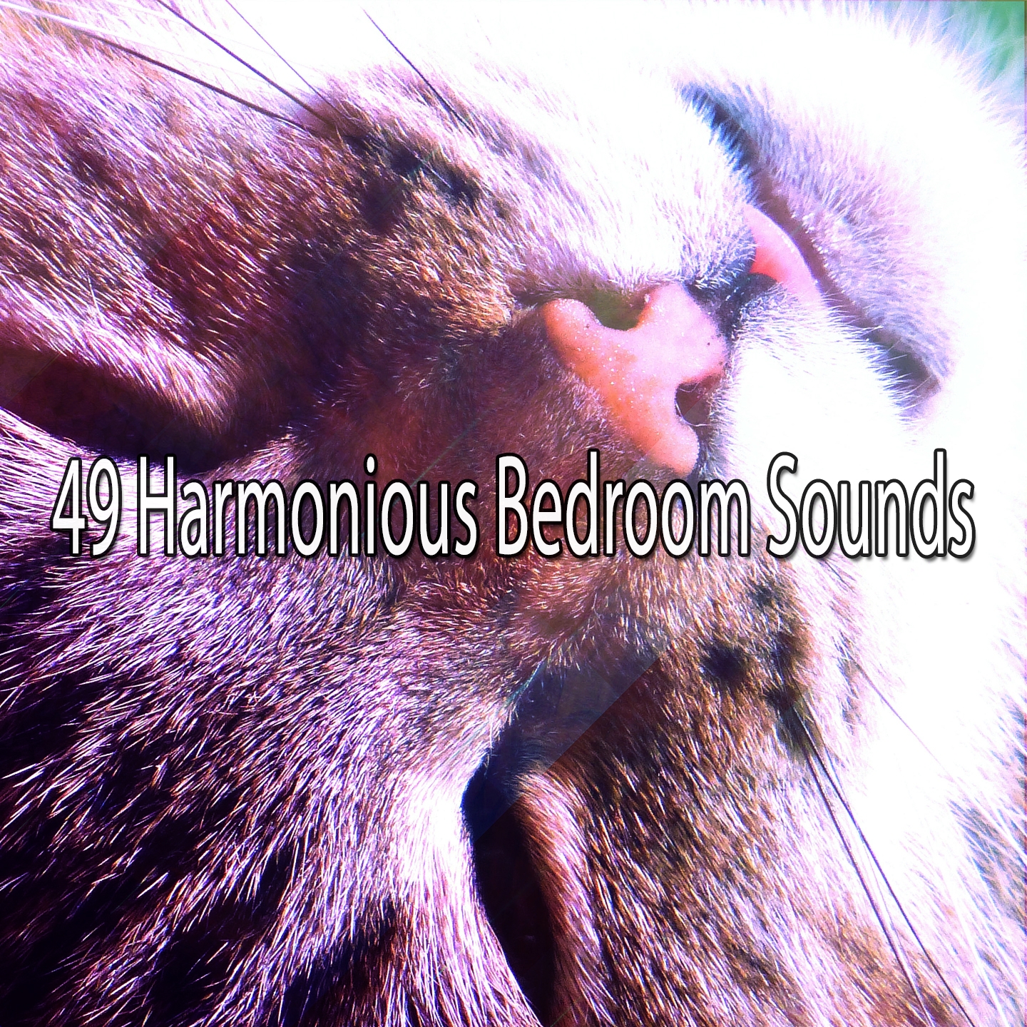 49 Harmonious Bedroom Sounds