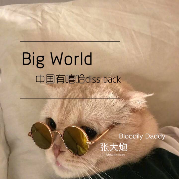 Big  World zhong guo you xi ha diss  back