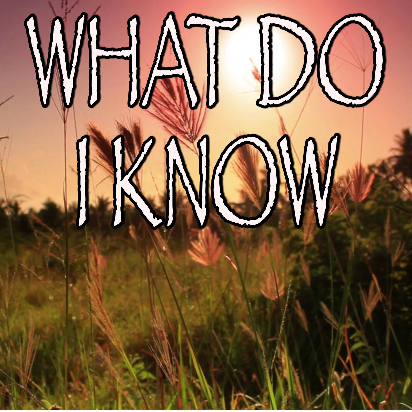 What Do I Know - Tribute to Ed Sheeran (Instrumental Version)