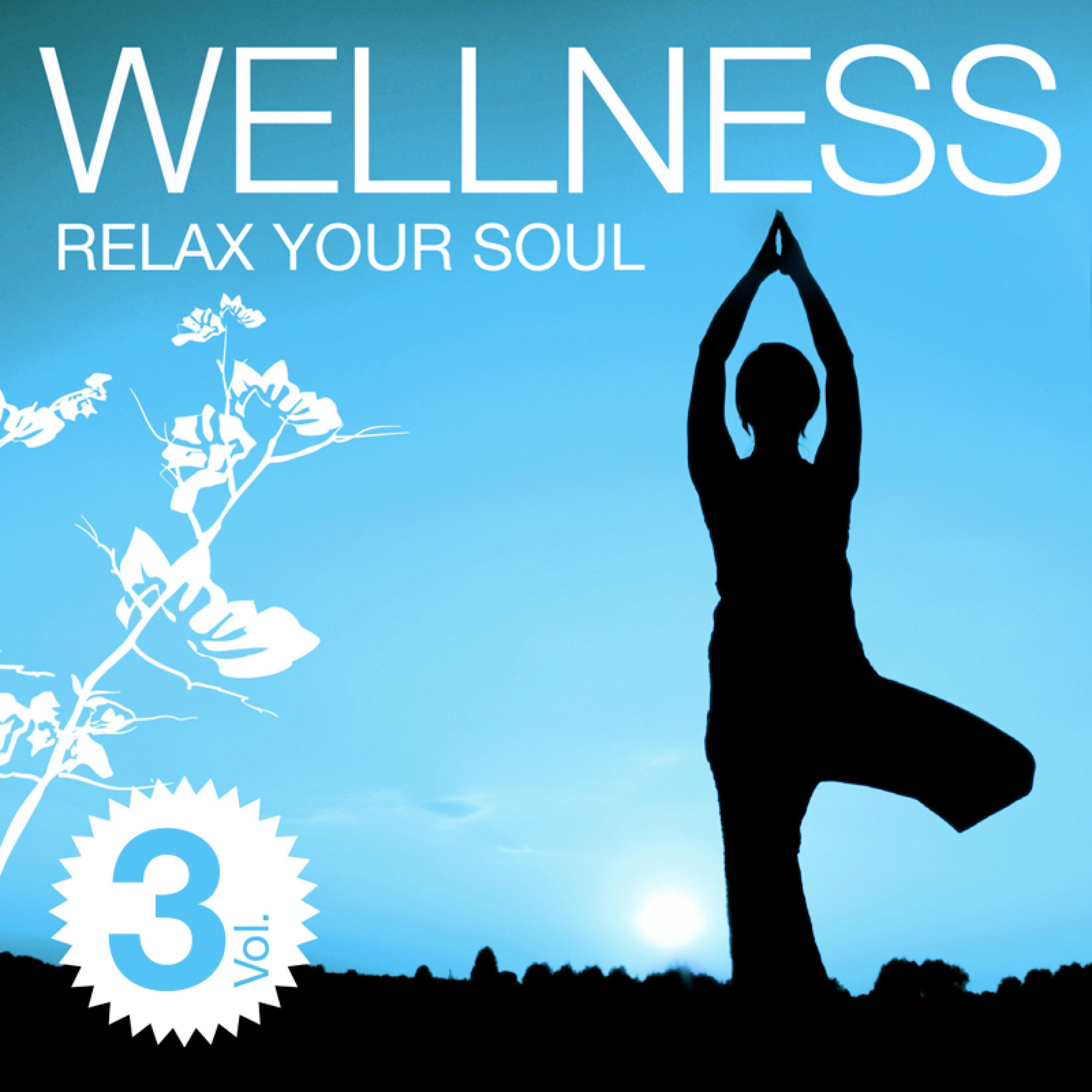 Wellness - Relax Your Soul Vol. 3