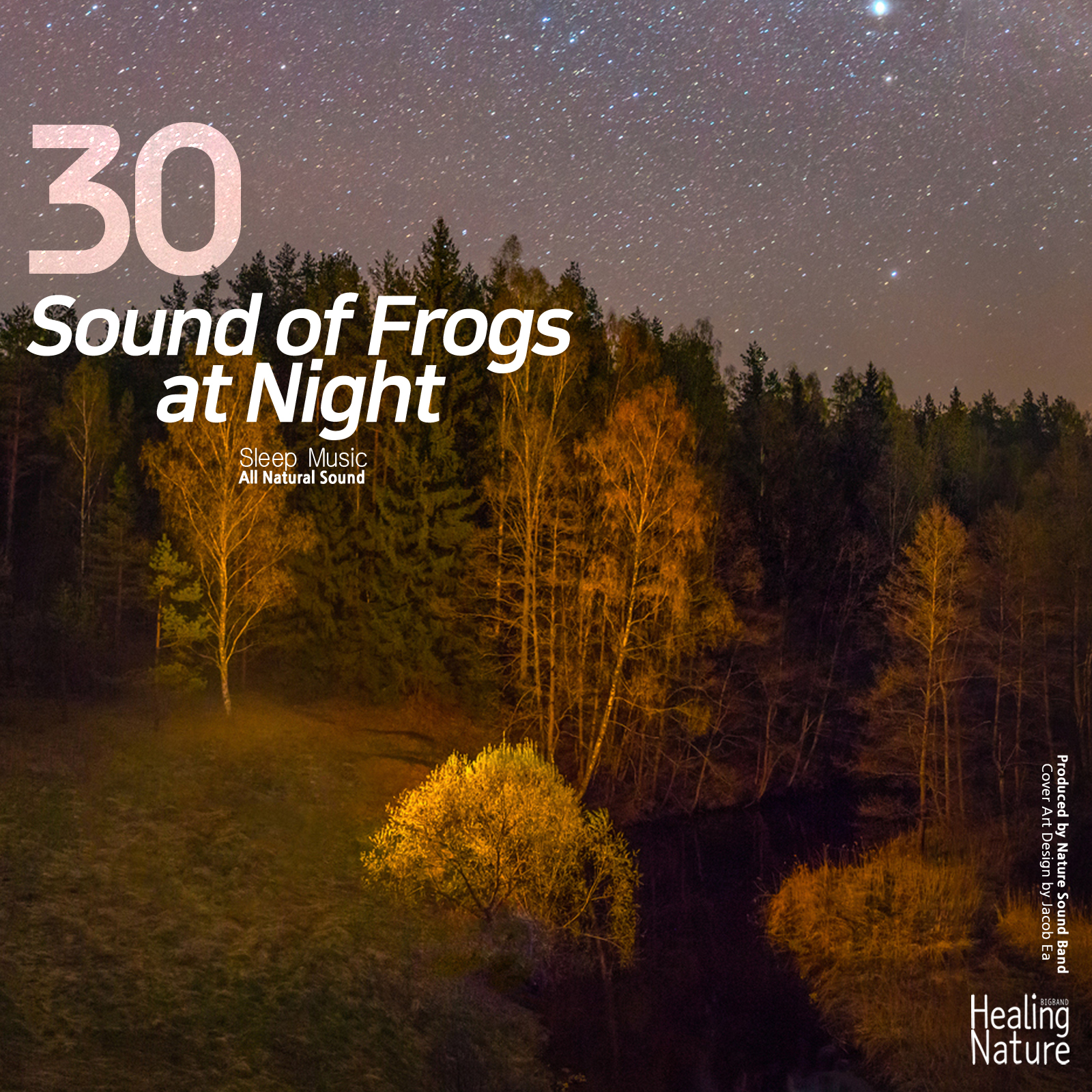 Frog Sound around Tent