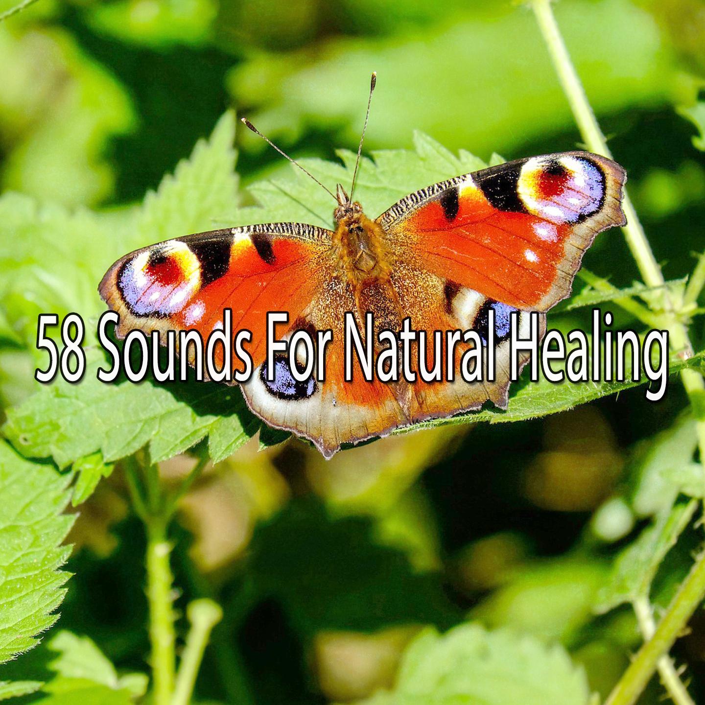 58 Sounds For Natural Healing