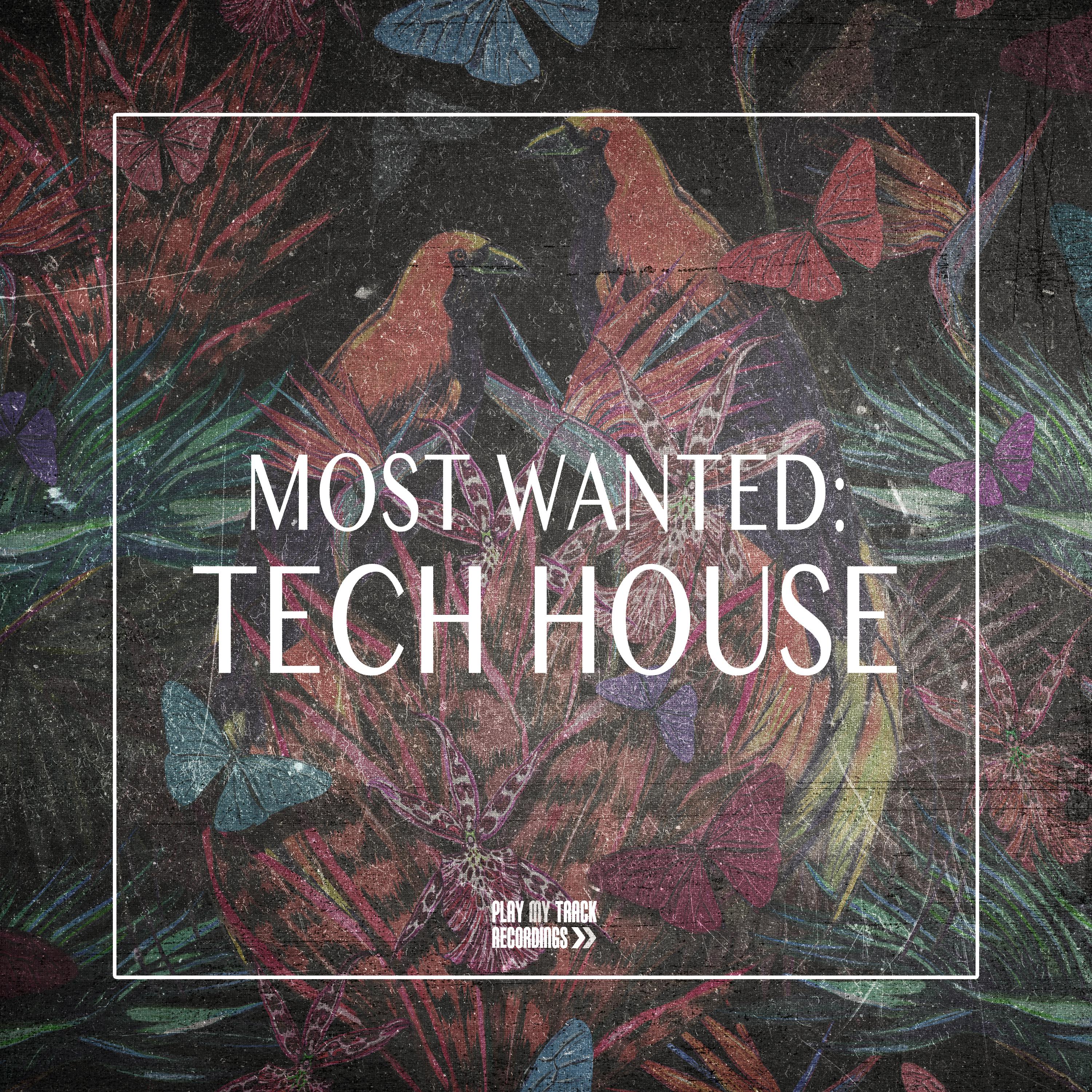 Most Wanted: Tech House
