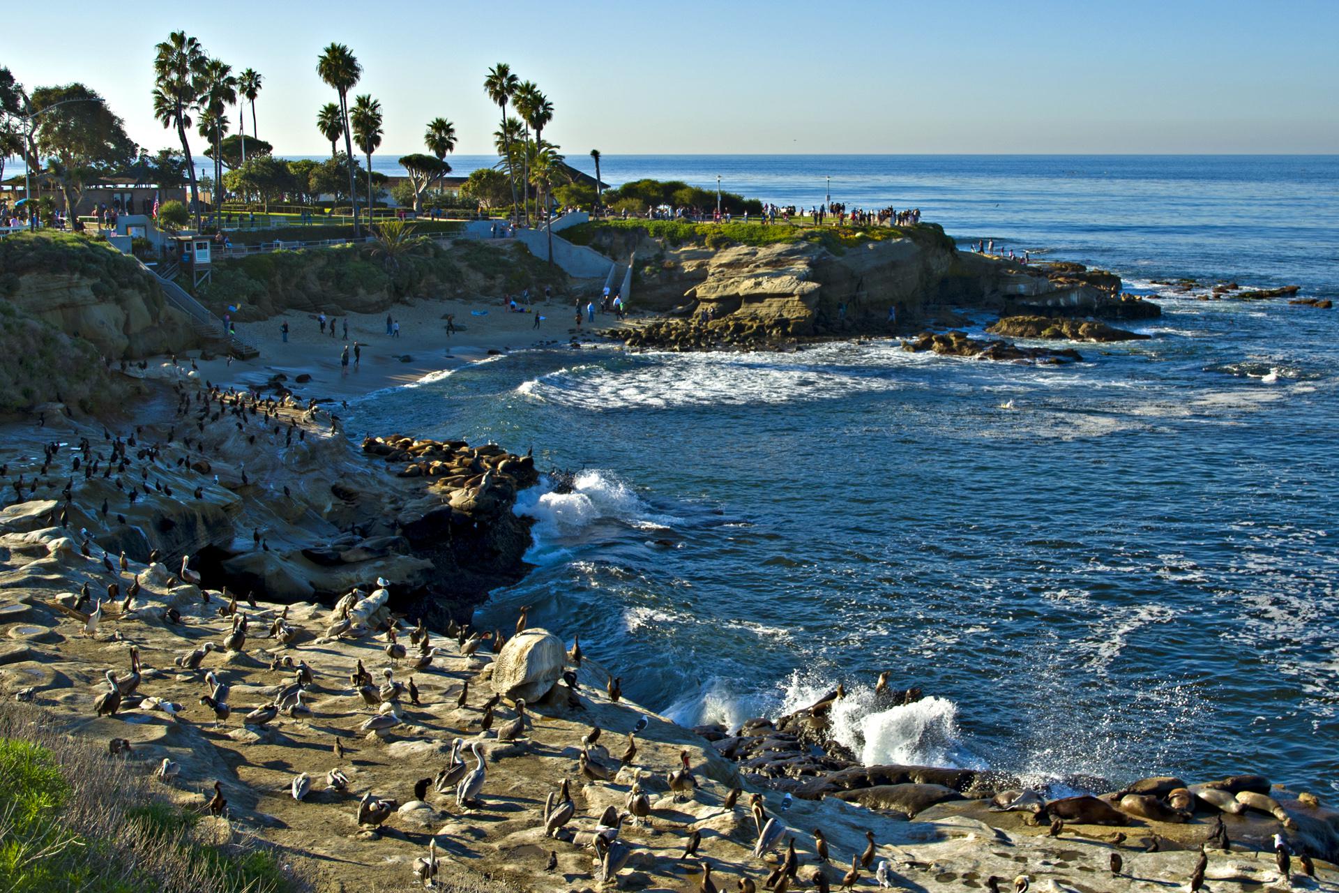 La  Jolla  Cove