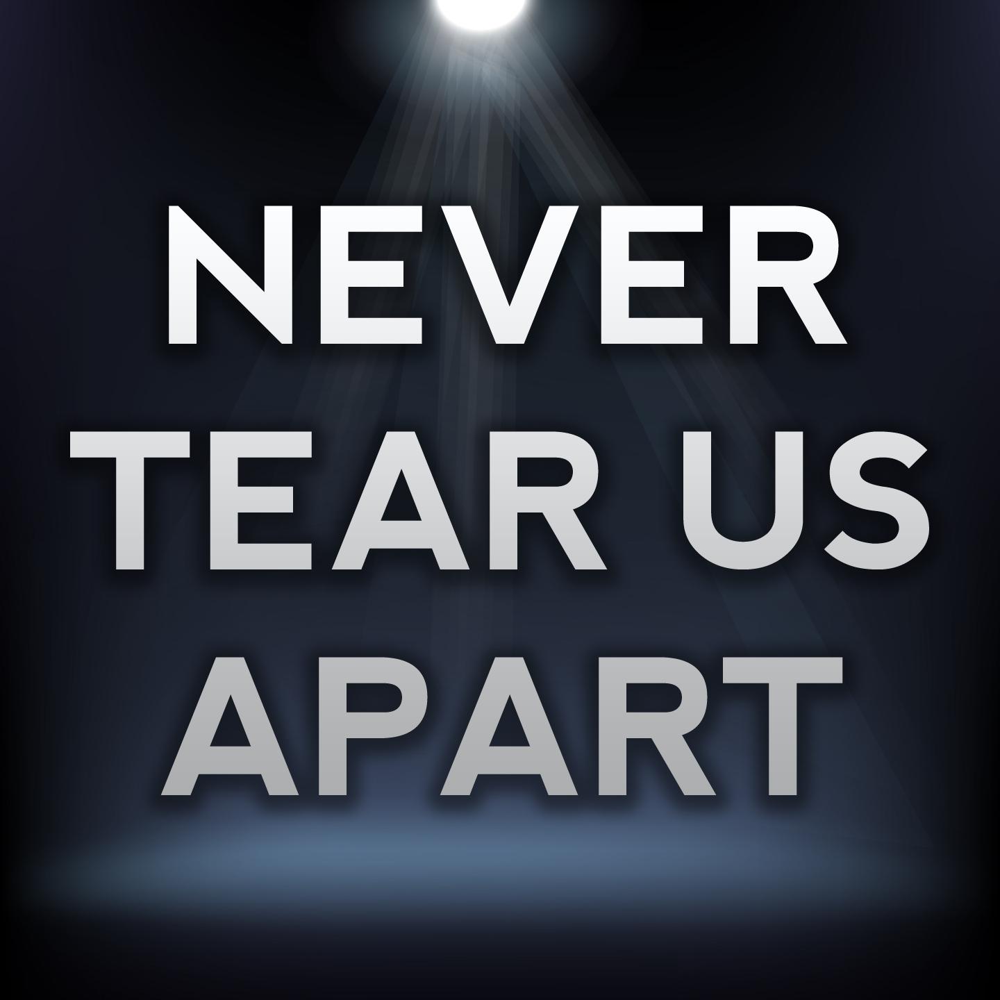 Never Tear Us Apart (Karaoke Version) (Originally Performed By Paloma Faith)