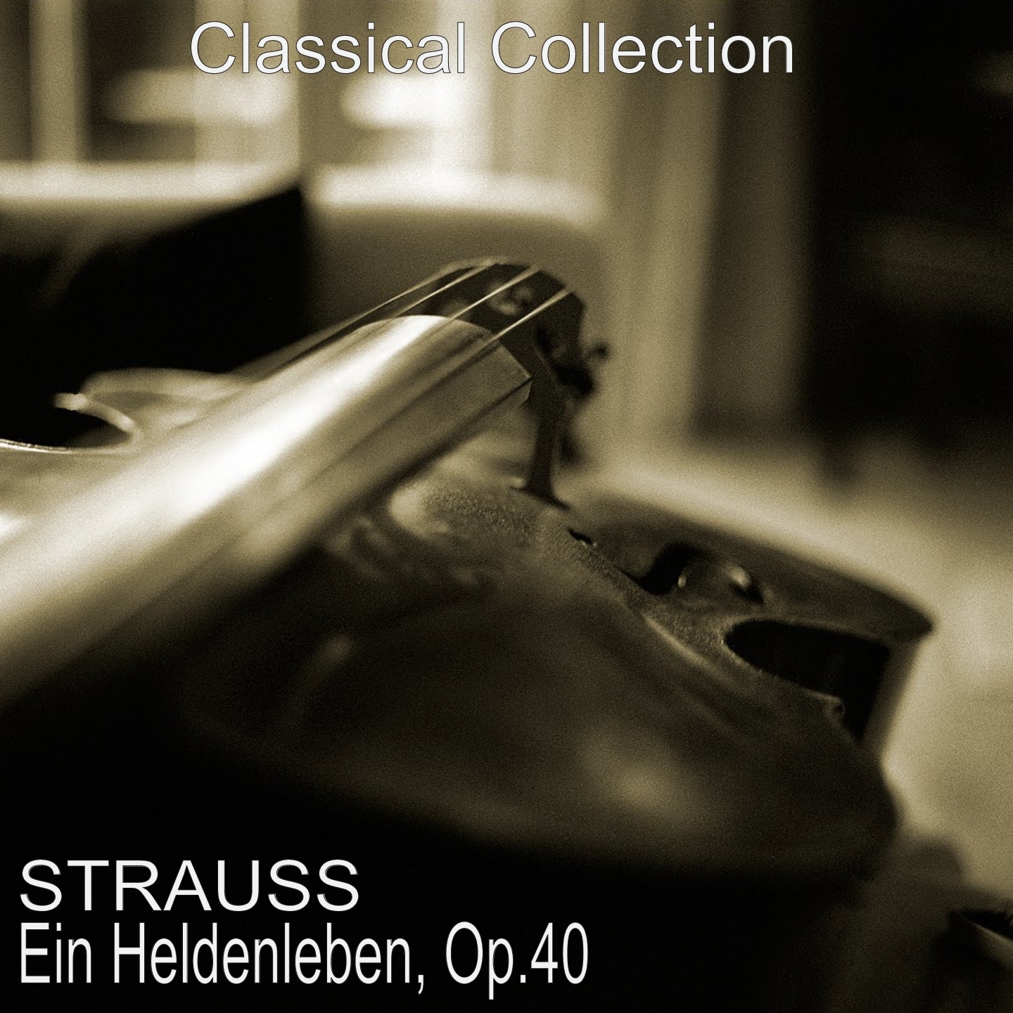 Strauss: Ein Heldenleben, Op.40