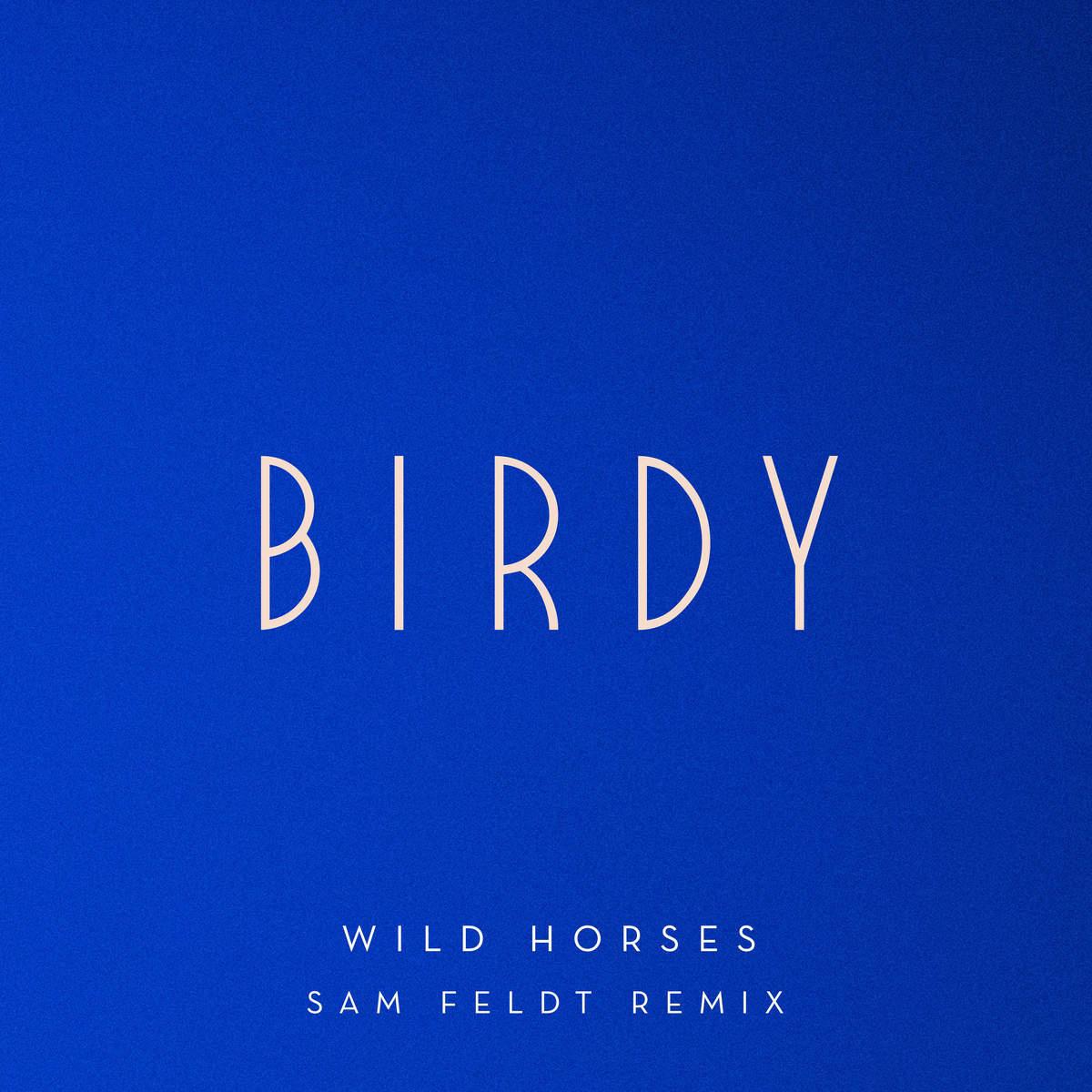 Wild Horses (Sam Feldt Remix)