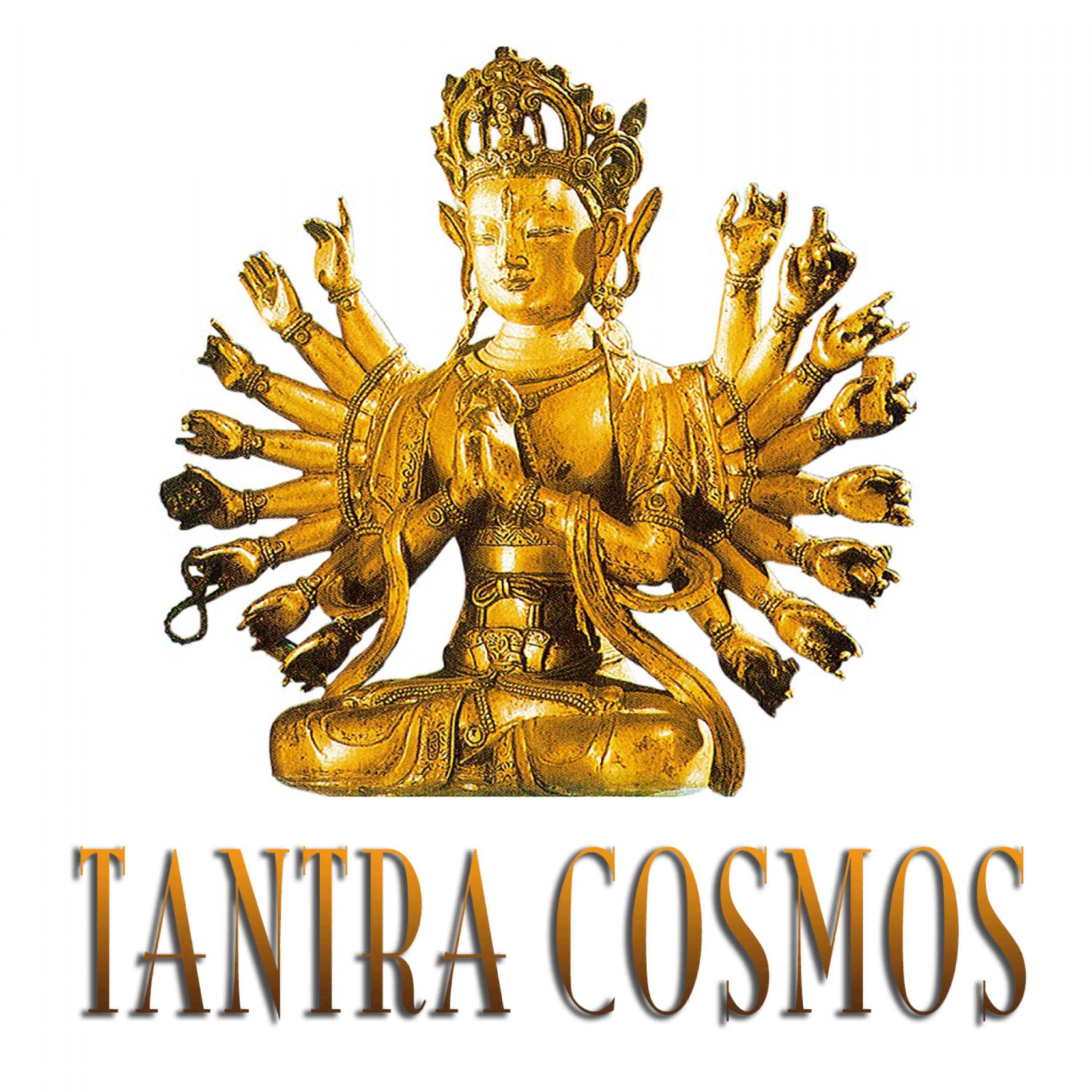 Tantra Cosmos