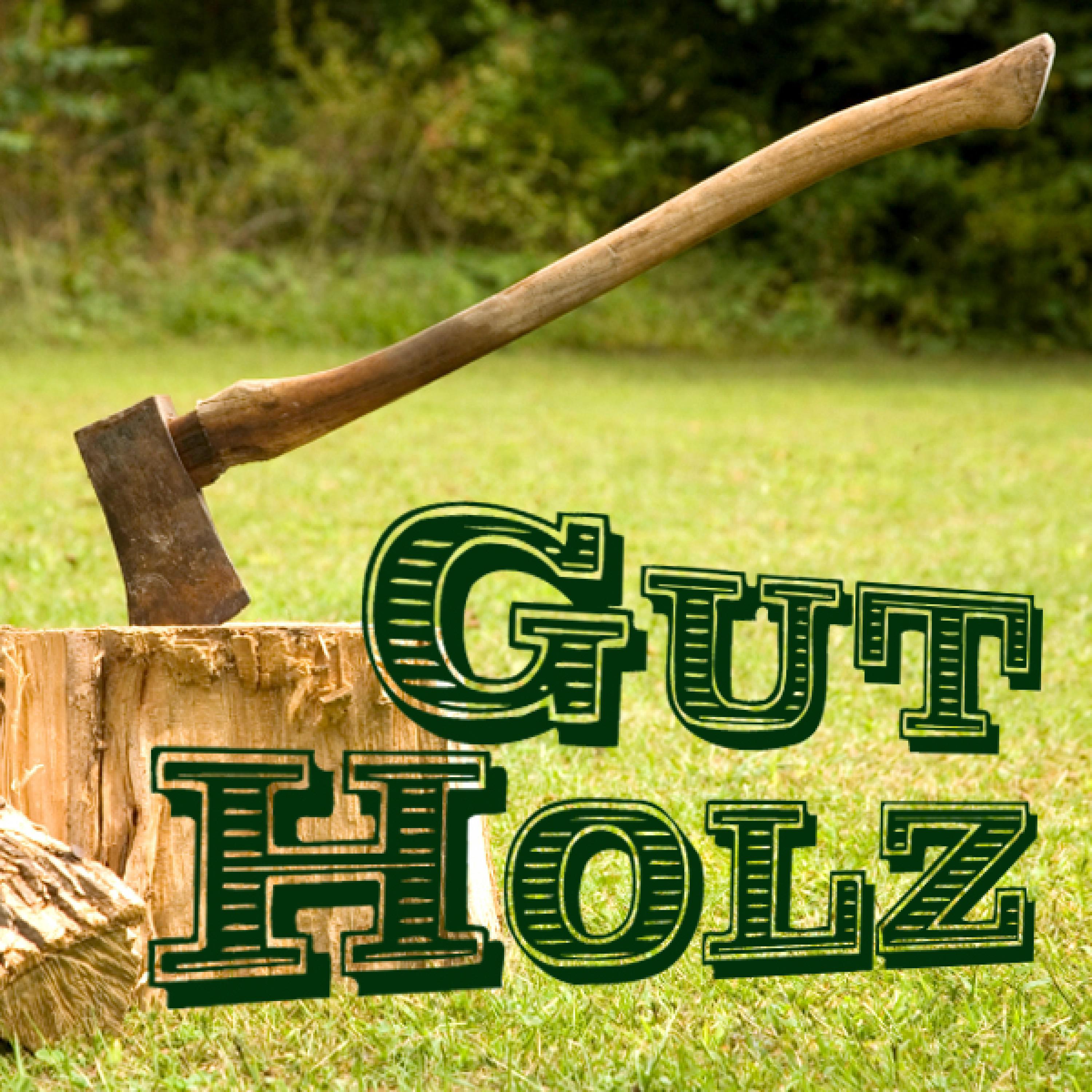 Gut Holz (Tiroler Holzhacker Buam)