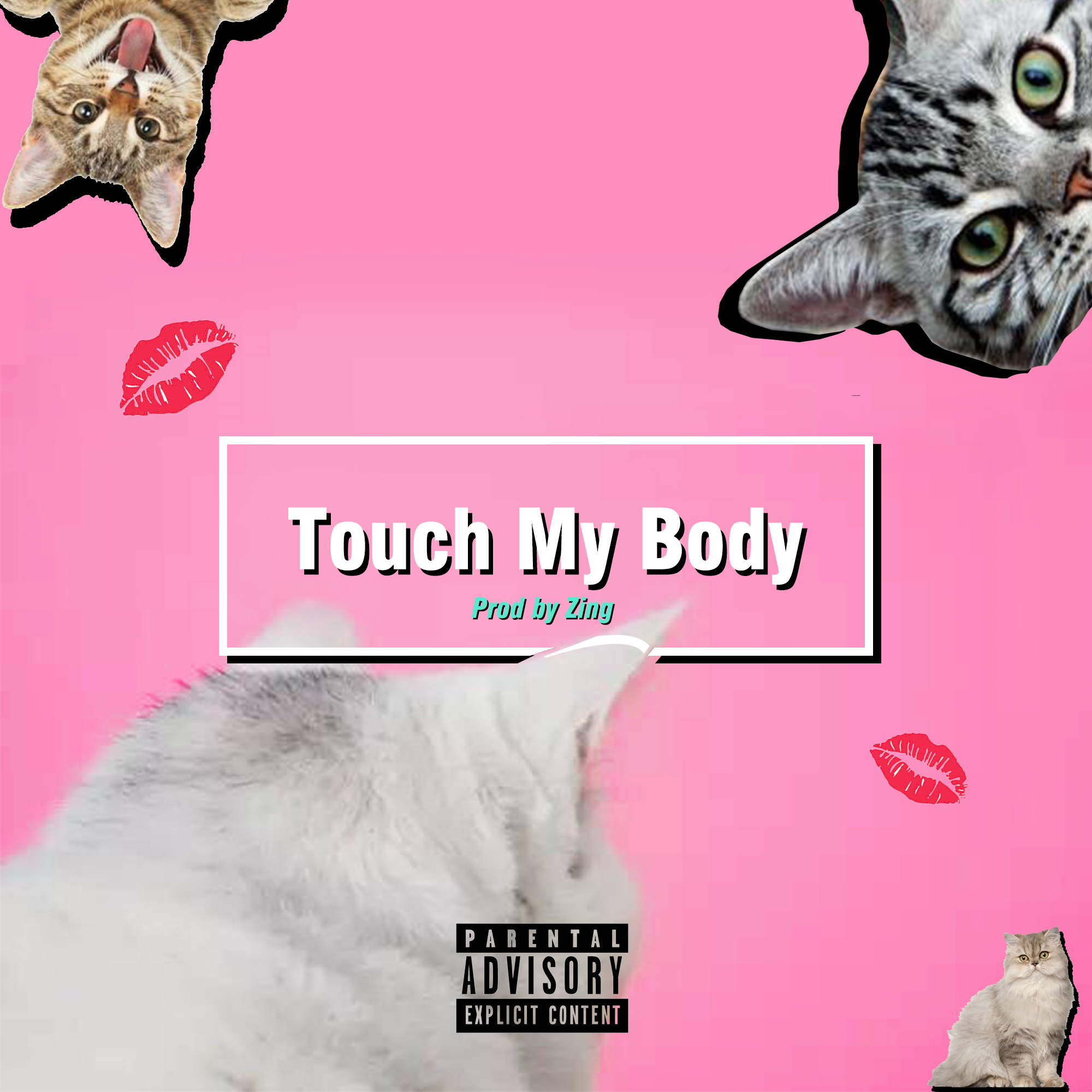 Touch  My  Body Prod. Zing