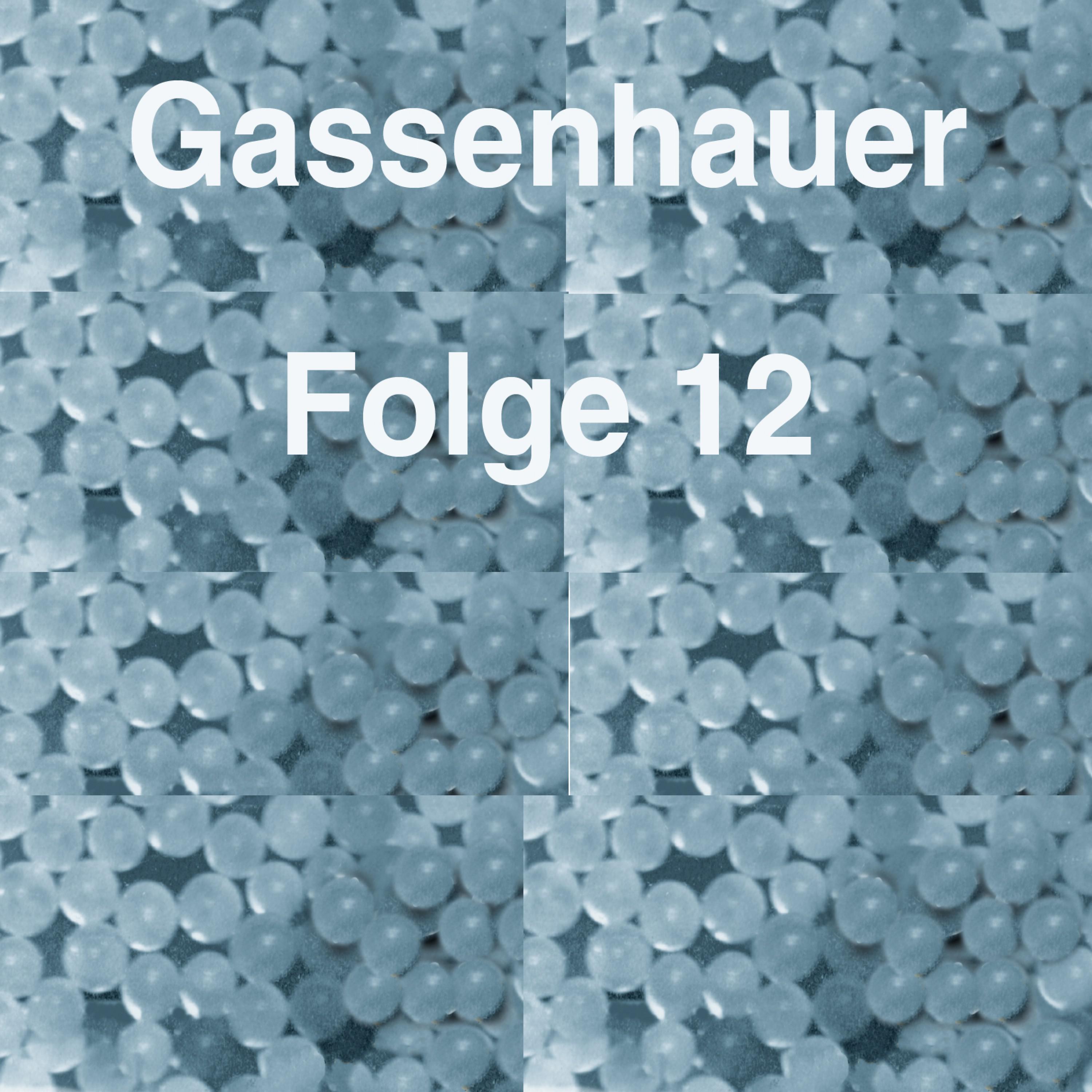 Gassenhauer Vol. 12