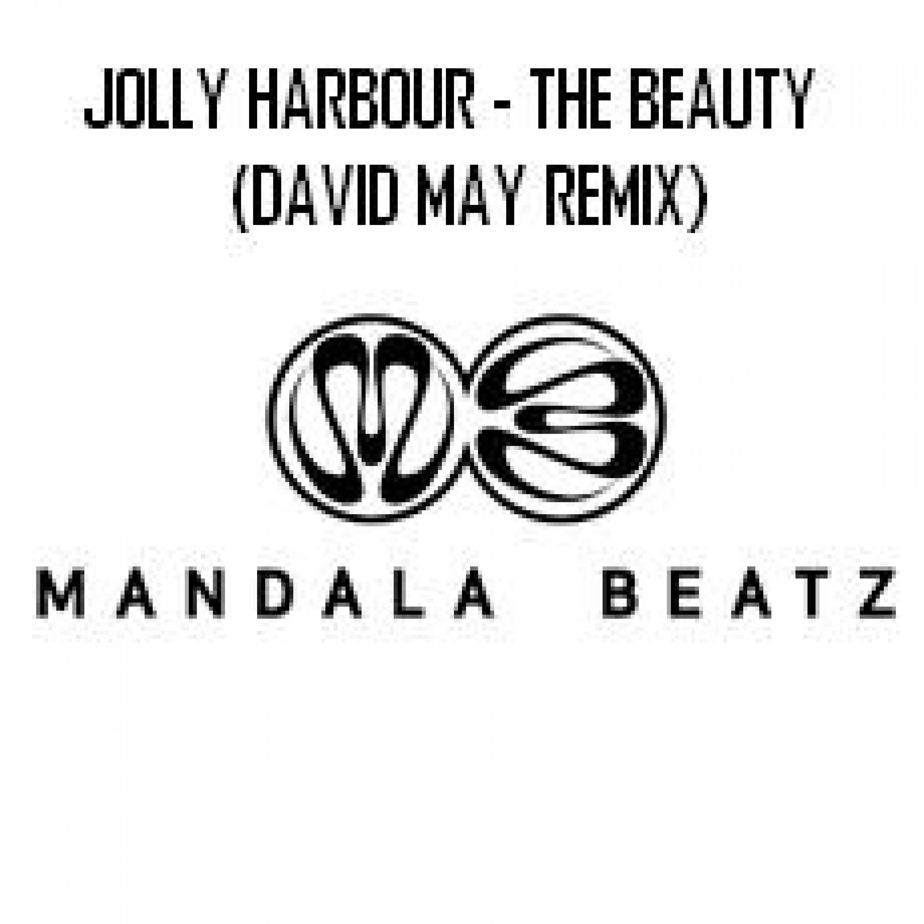 The Beauty - The Electro Remixes (David May Remix Edit)