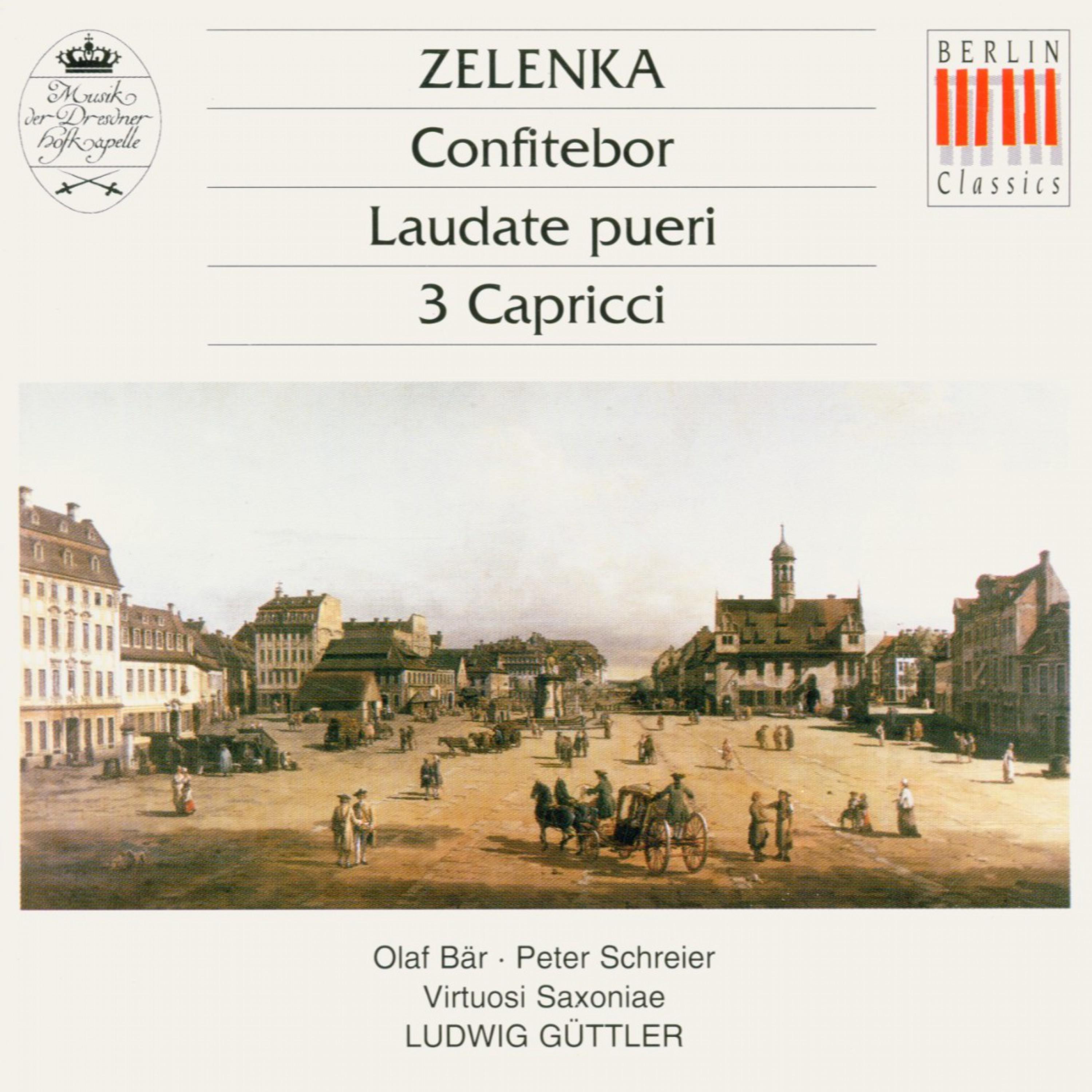 Capriccio in G Major, ZWV 183: Minuetto - Trio