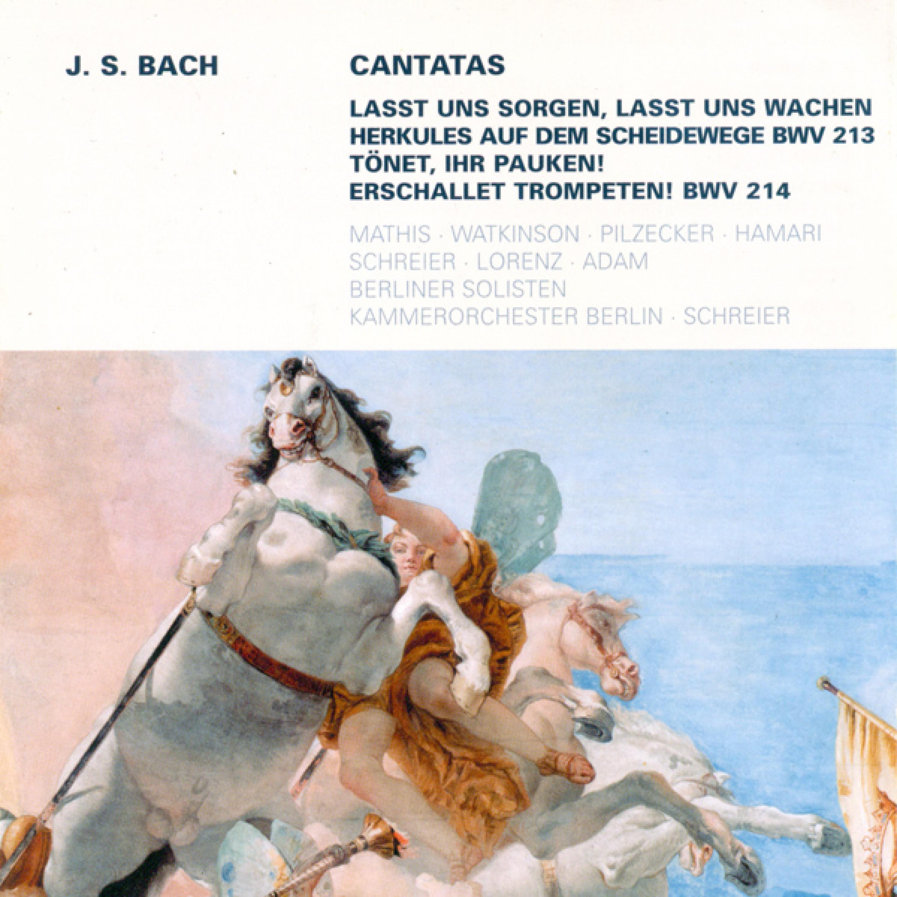 Bach: Cantatas - BWV 213, 214