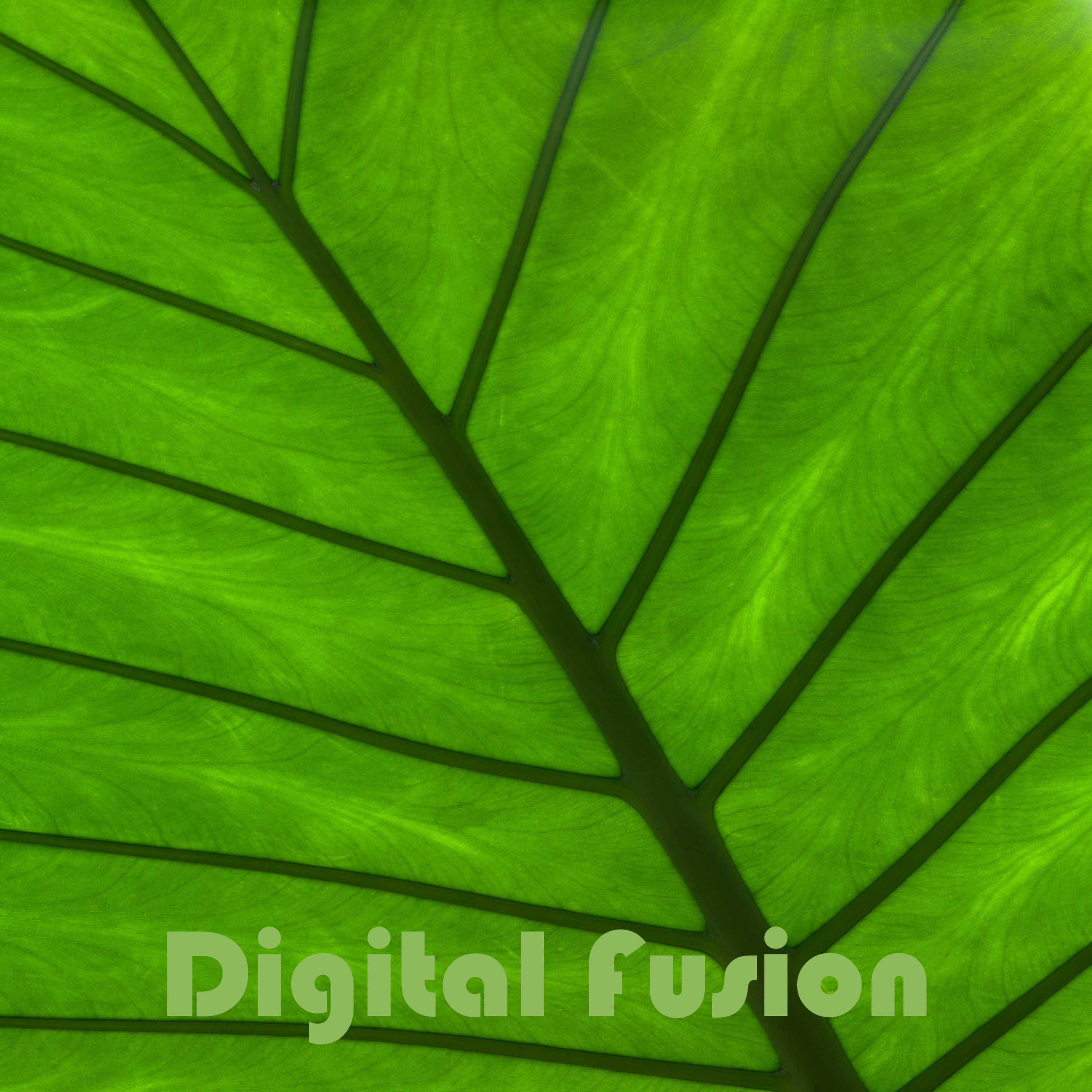 Digital Fusion