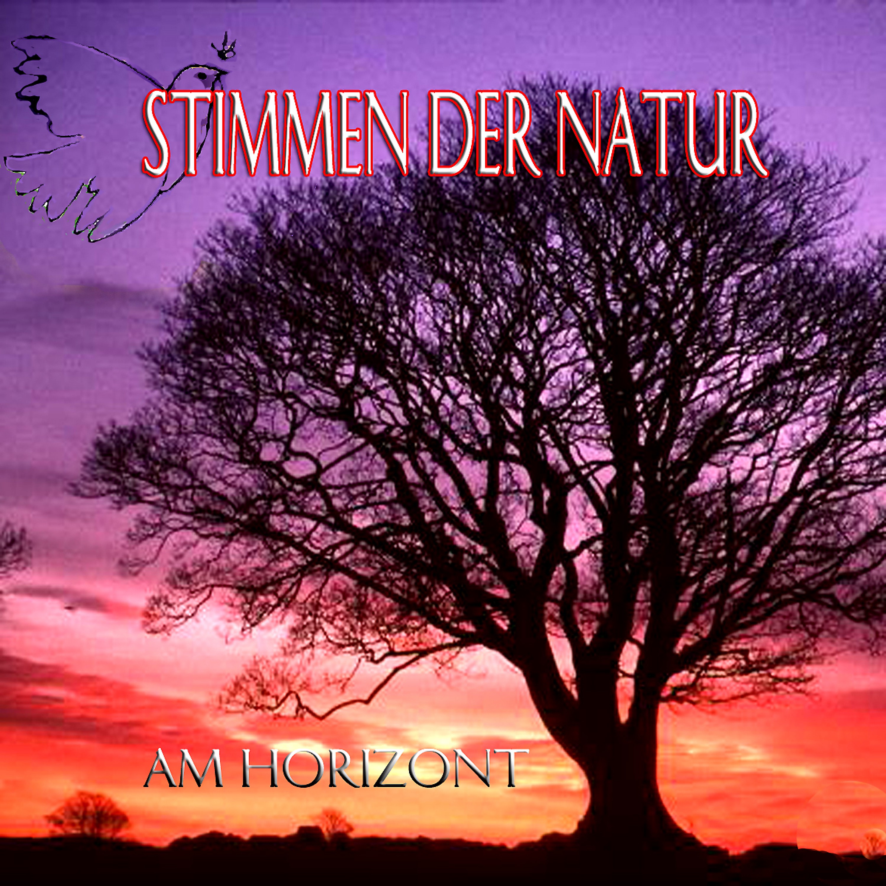 Stimmen Der Natur - Am Horizont