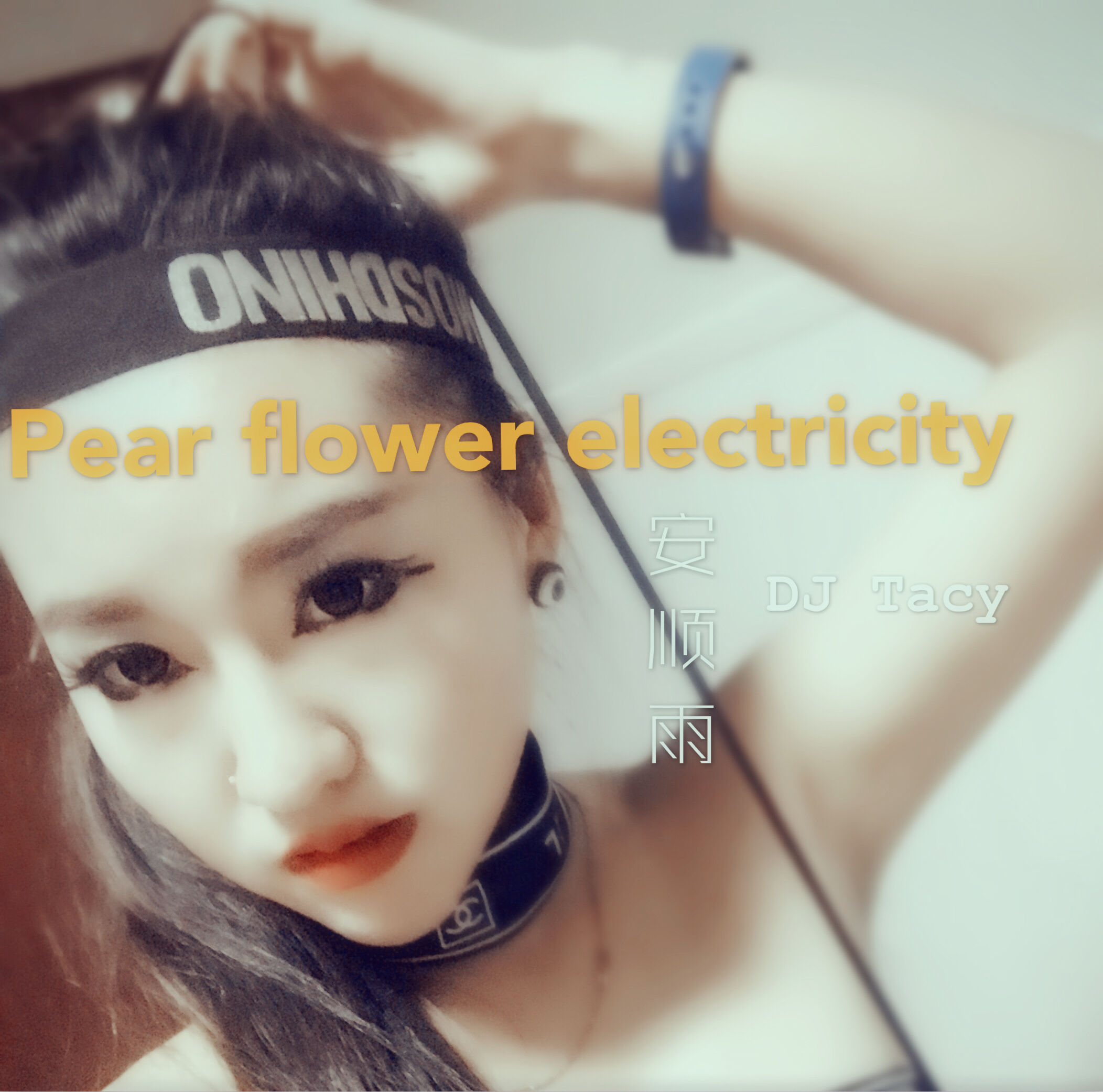 pear flower electricity li hua dian