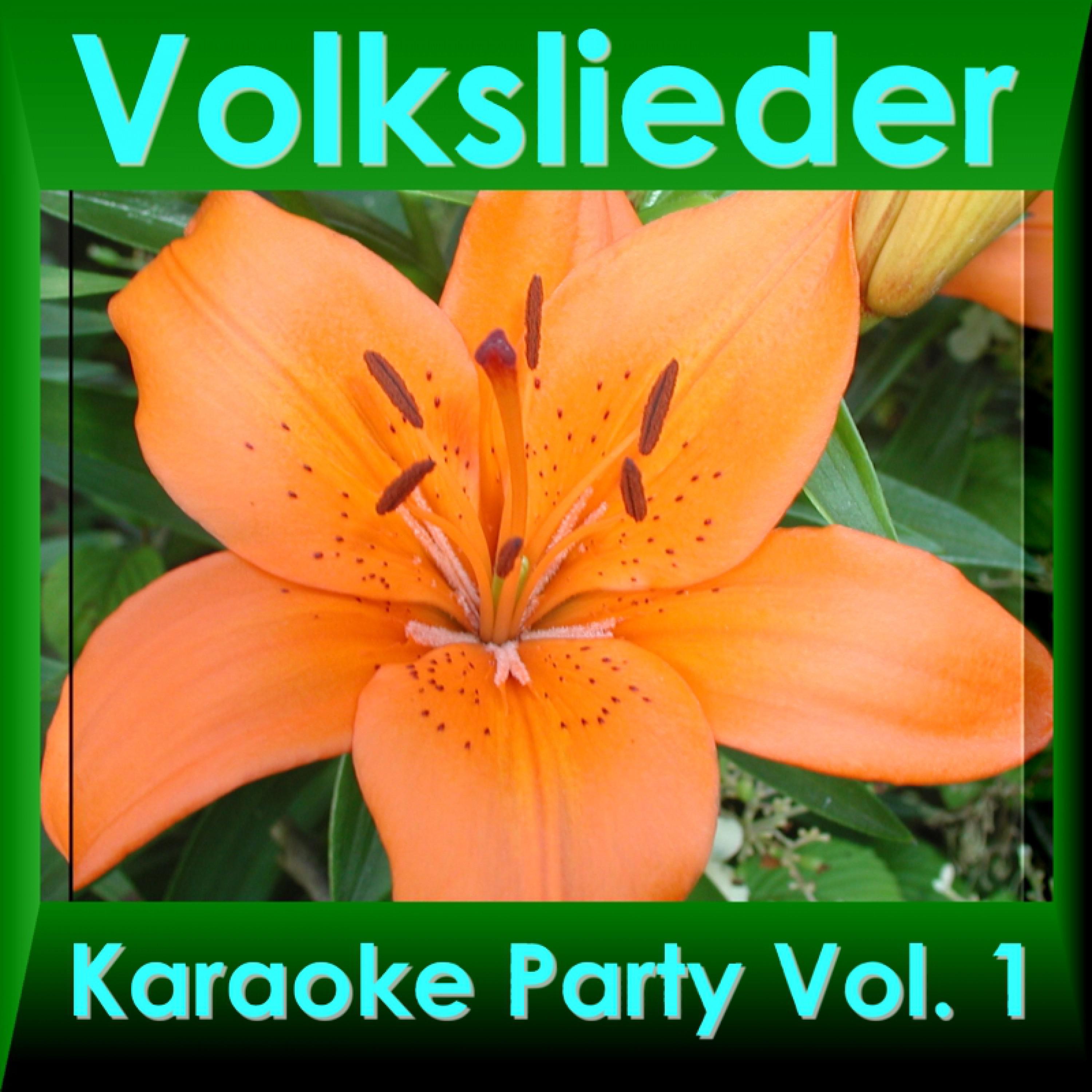 Volkslieder Karaoke Party Vol. 1