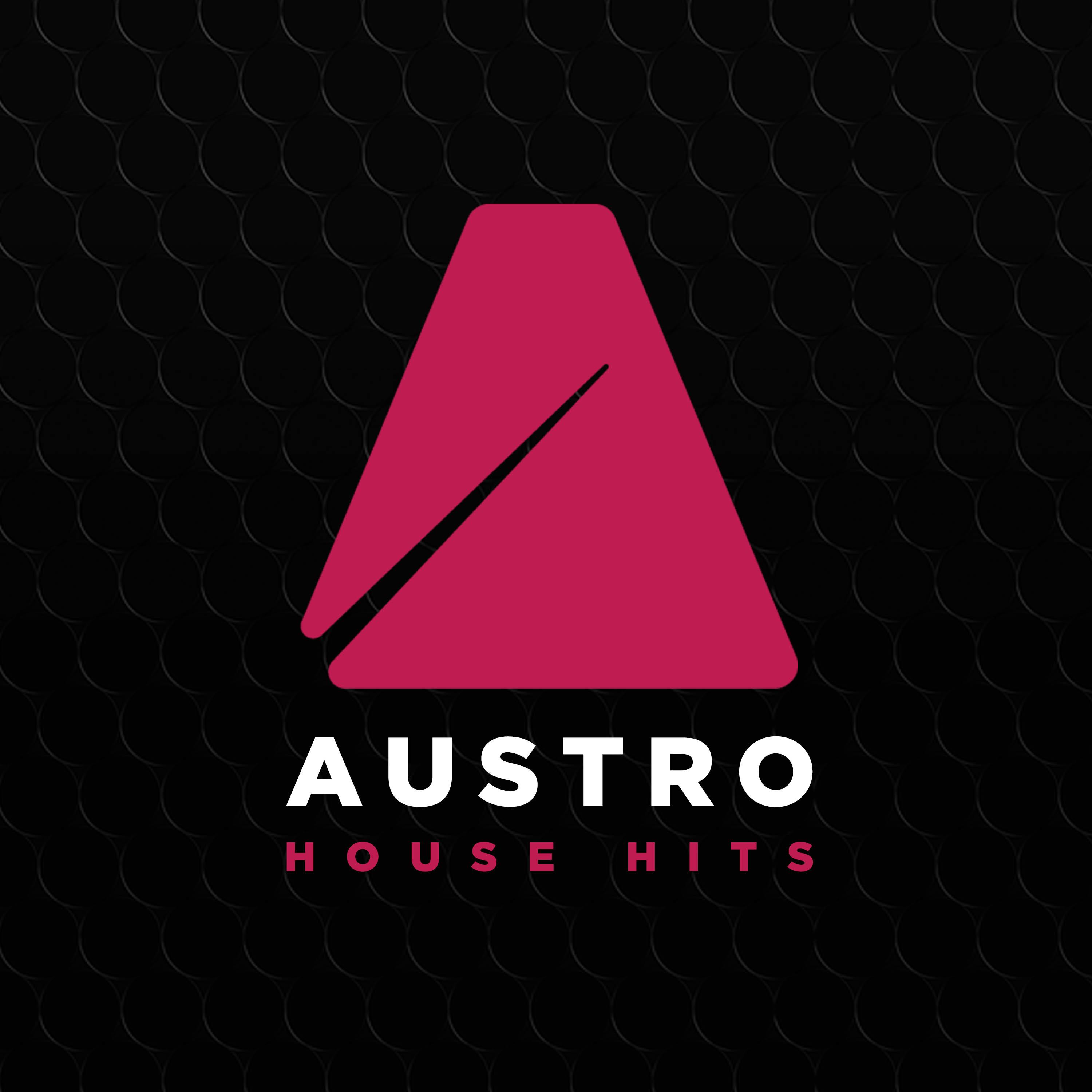 Austro House Hits 2017