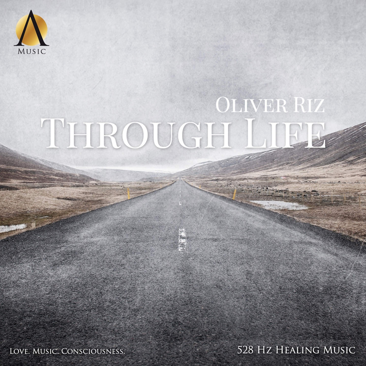 Through Life |528 Hz|