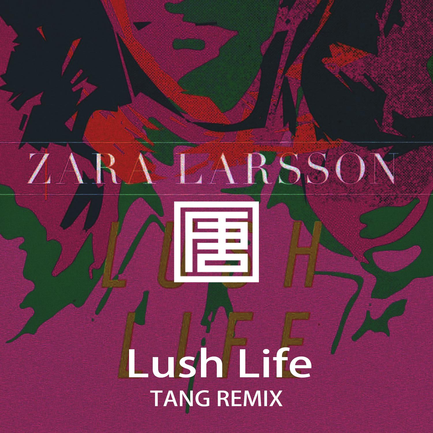 Zara Larsson  Lush Life TANG tang Remix