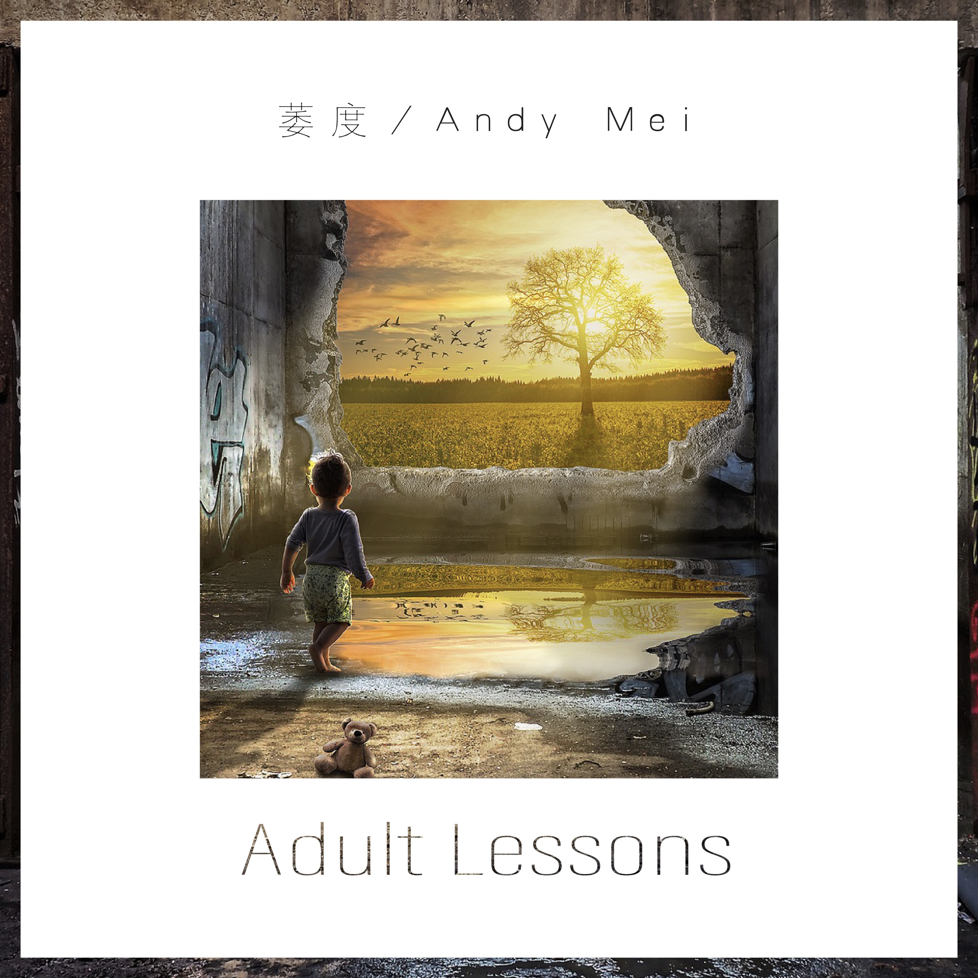 Adult Lessons