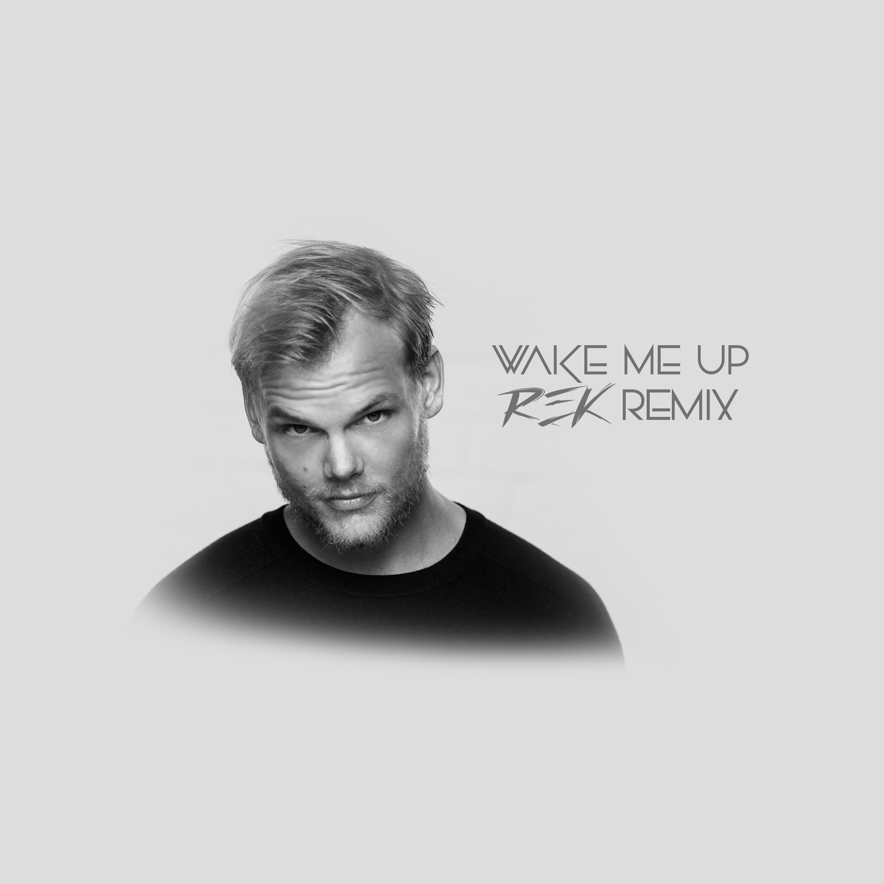Wake Me Up (REK Remix)
