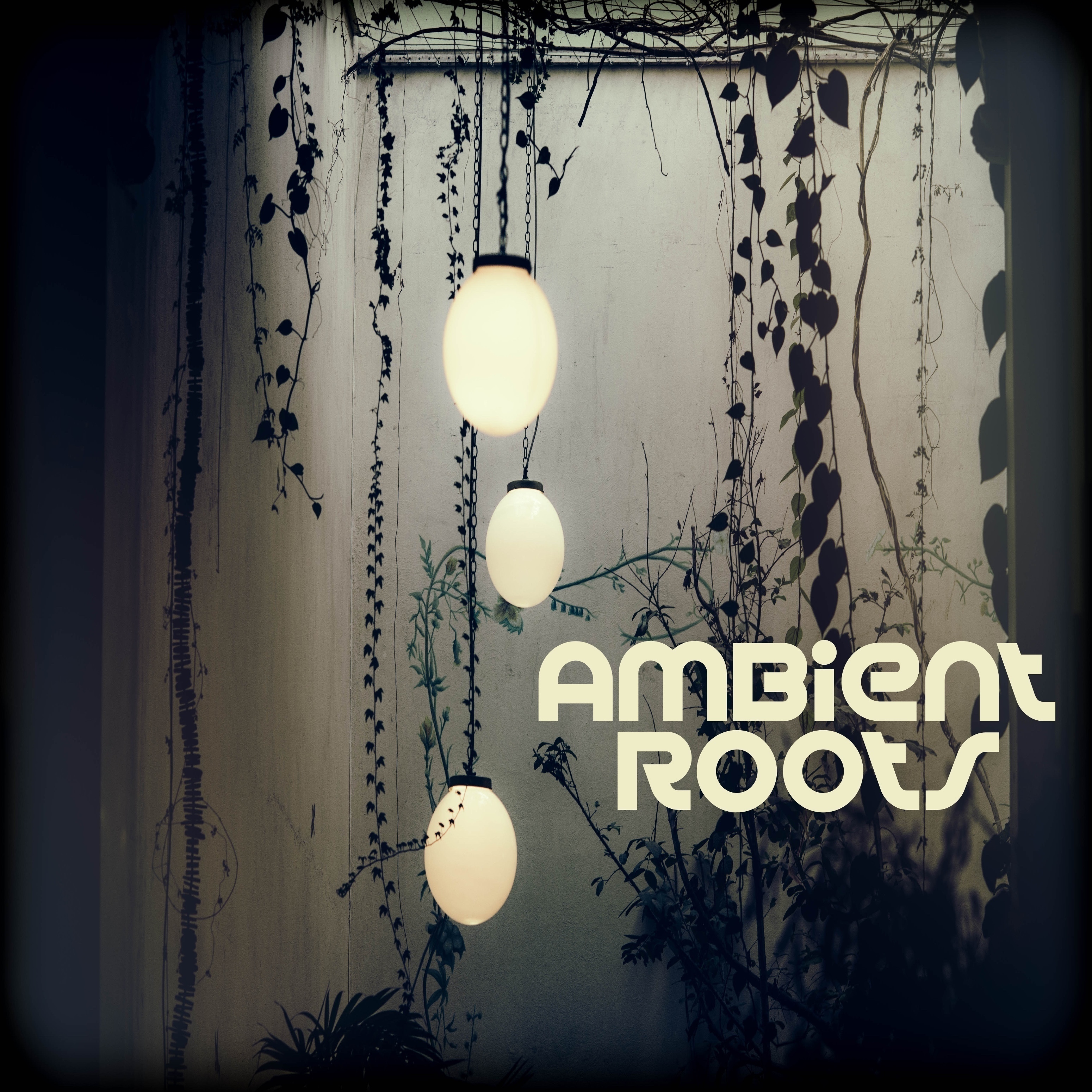 Ambient Roots