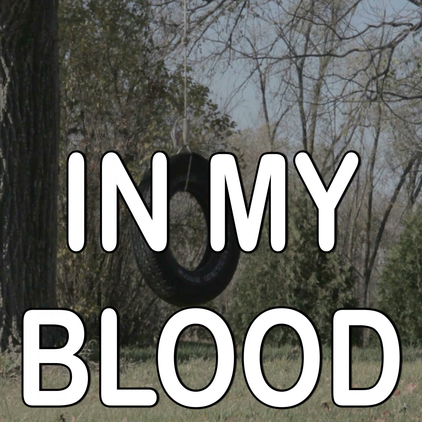In My Blood - Tribute to The Veronicas