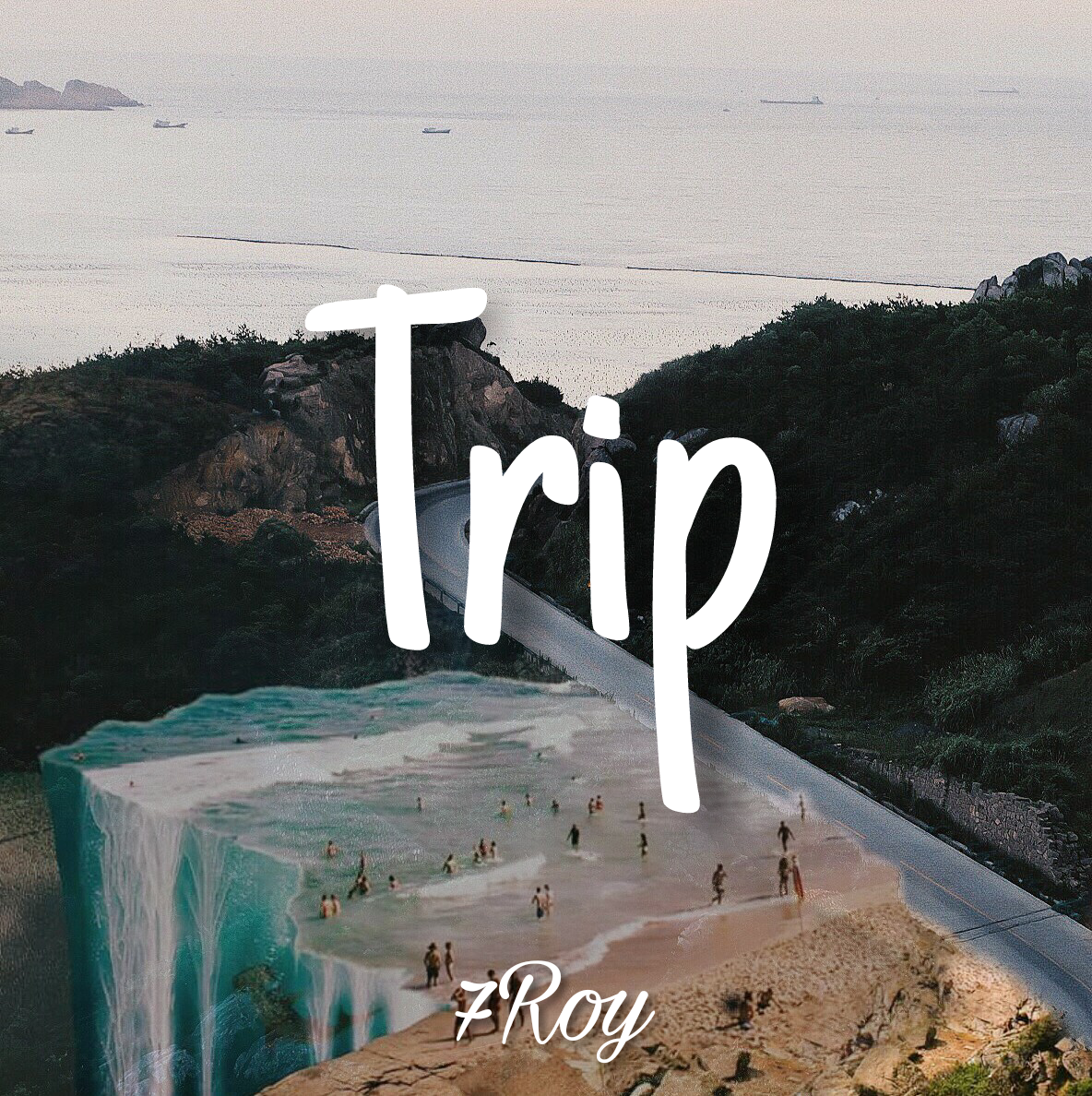 Trip