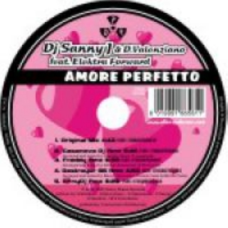 Amore Perfetto(Destroyer 86 Rmx)