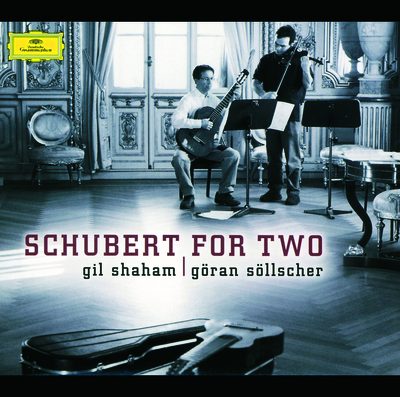 Schubert: Sonatina In D For Violin & Piano, D384 - 1. Allegro molto