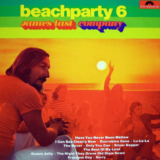 Beach Party 6