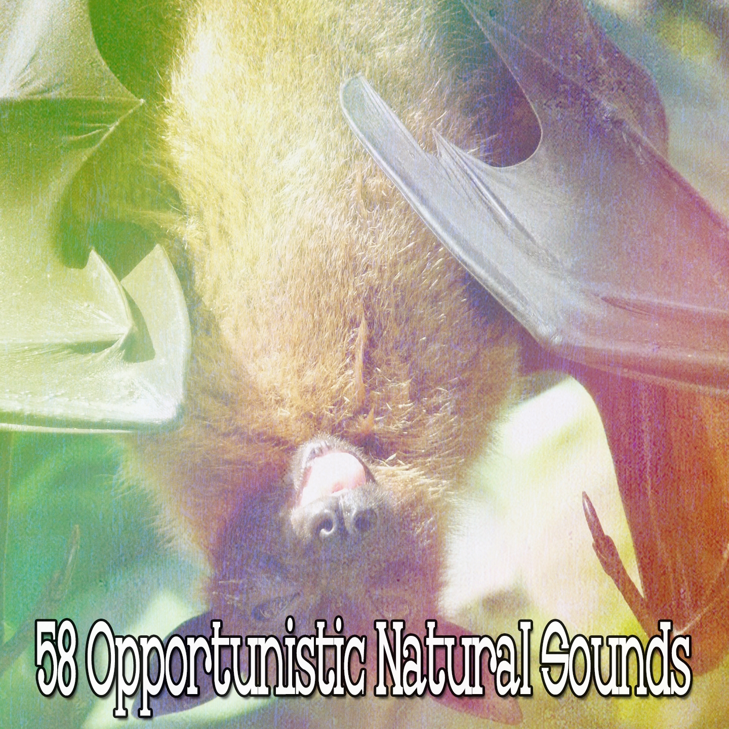 58 Opportunistic Natural Sounds