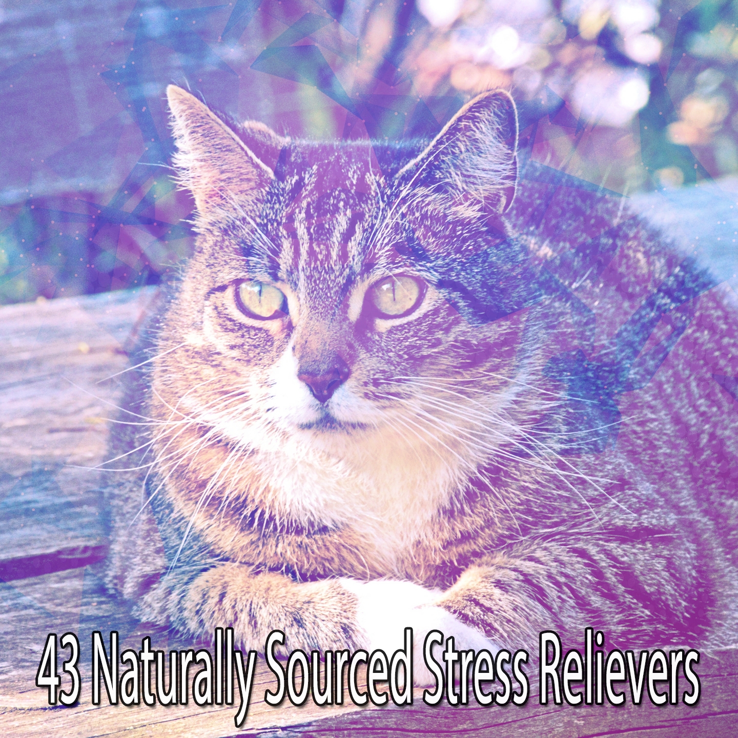 43 Naturally Sourced Stress Relievers