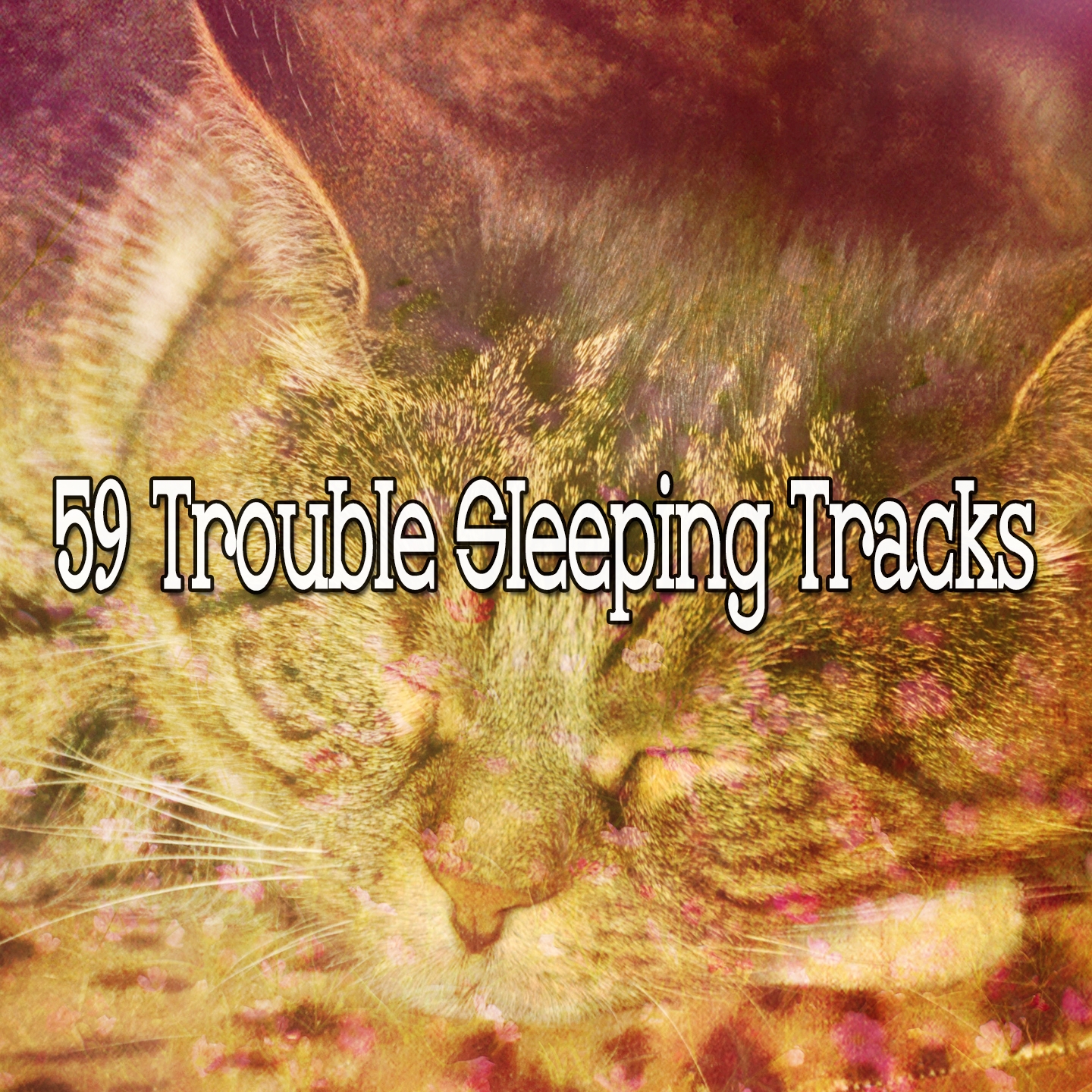 59 Trouble Sleeping Tracks