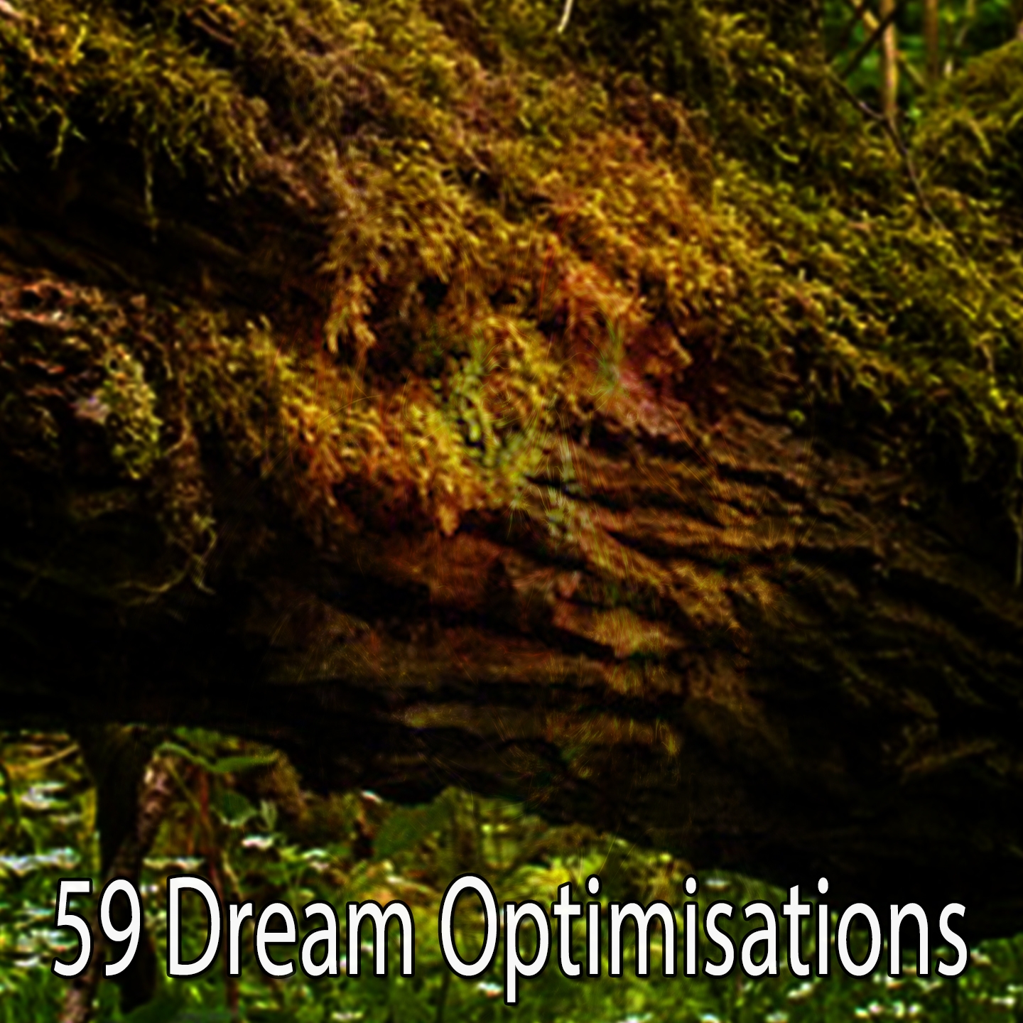 59 Dream Optimisations