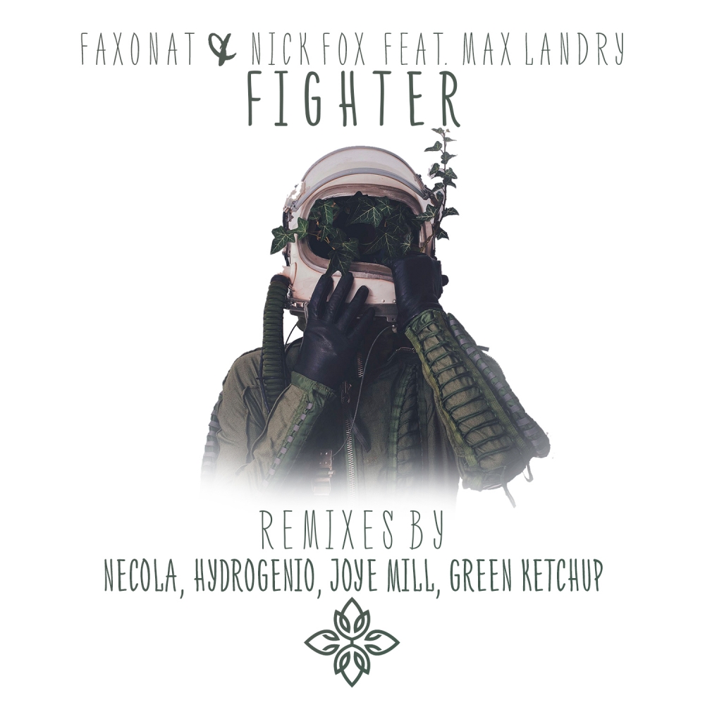Fighter (Remixes)